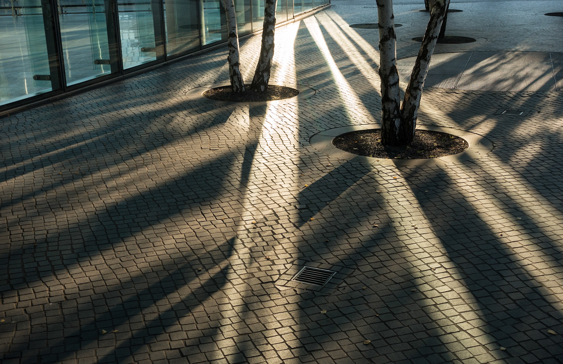 Evening Shadows, Berlin, 2016