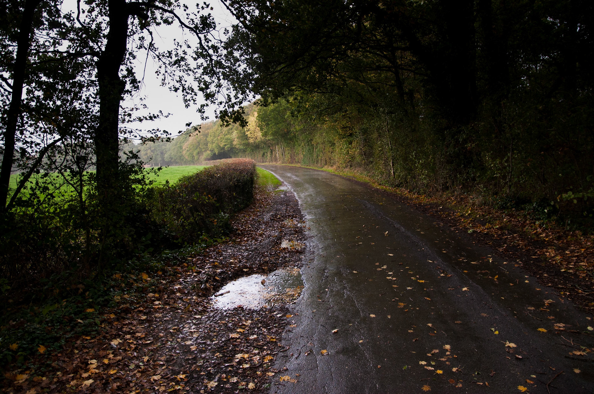 Ingfield Manor Drive, Five Oaks, Sussex, 2013