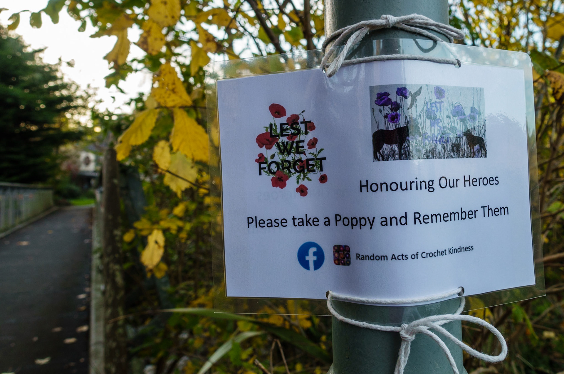 "Random acts of crochet kindness" for Remembrance Day, Lasswade, 2021