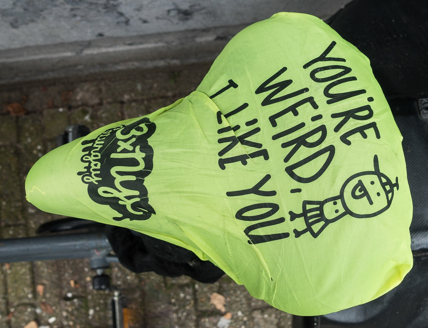 Bicycle Saddle Cover, Amsterdam, 2017