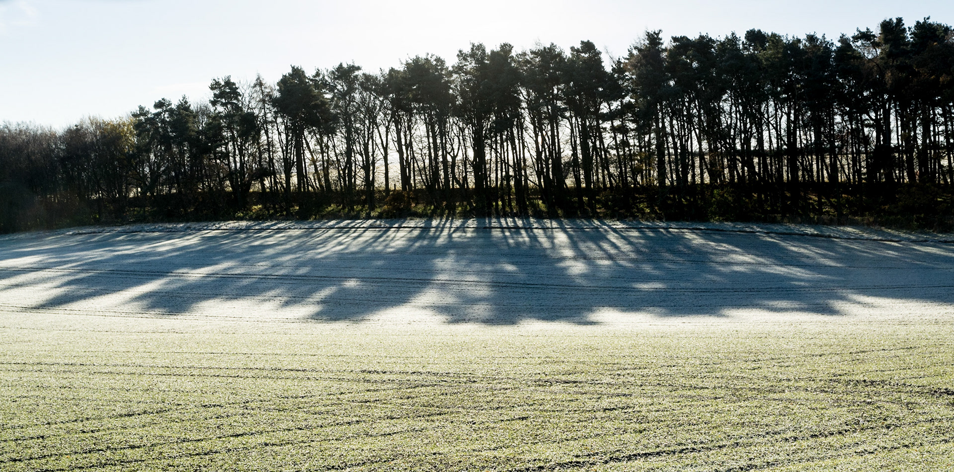 Dalkeith to Penicuik Walkway, Midothian, 2016
