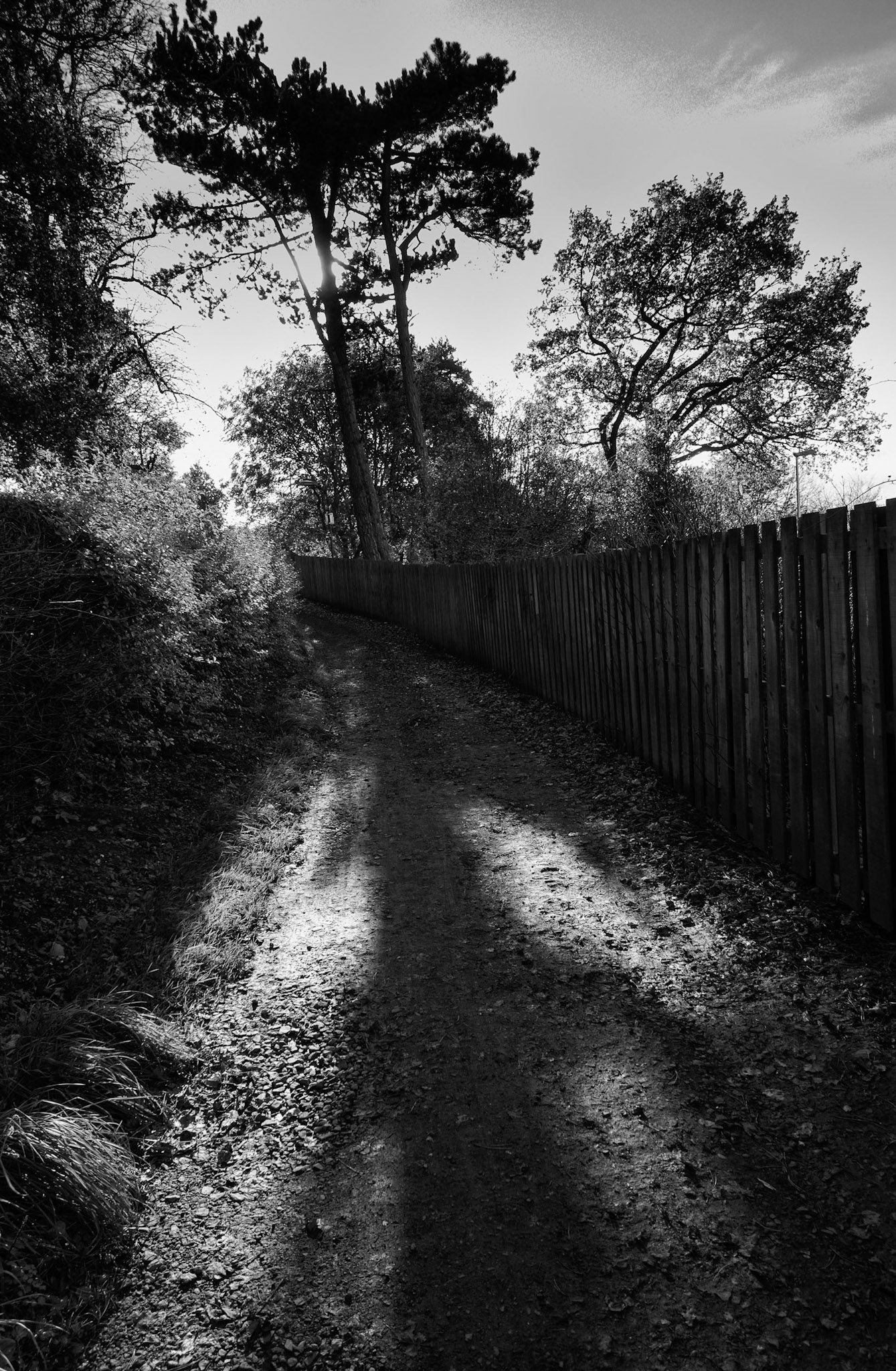 Broomieknowe, Lasswade, Midlothian, 2017