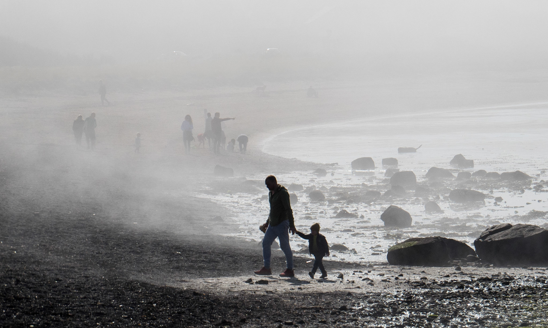 Misty morning at Longniddry Bents, 2022