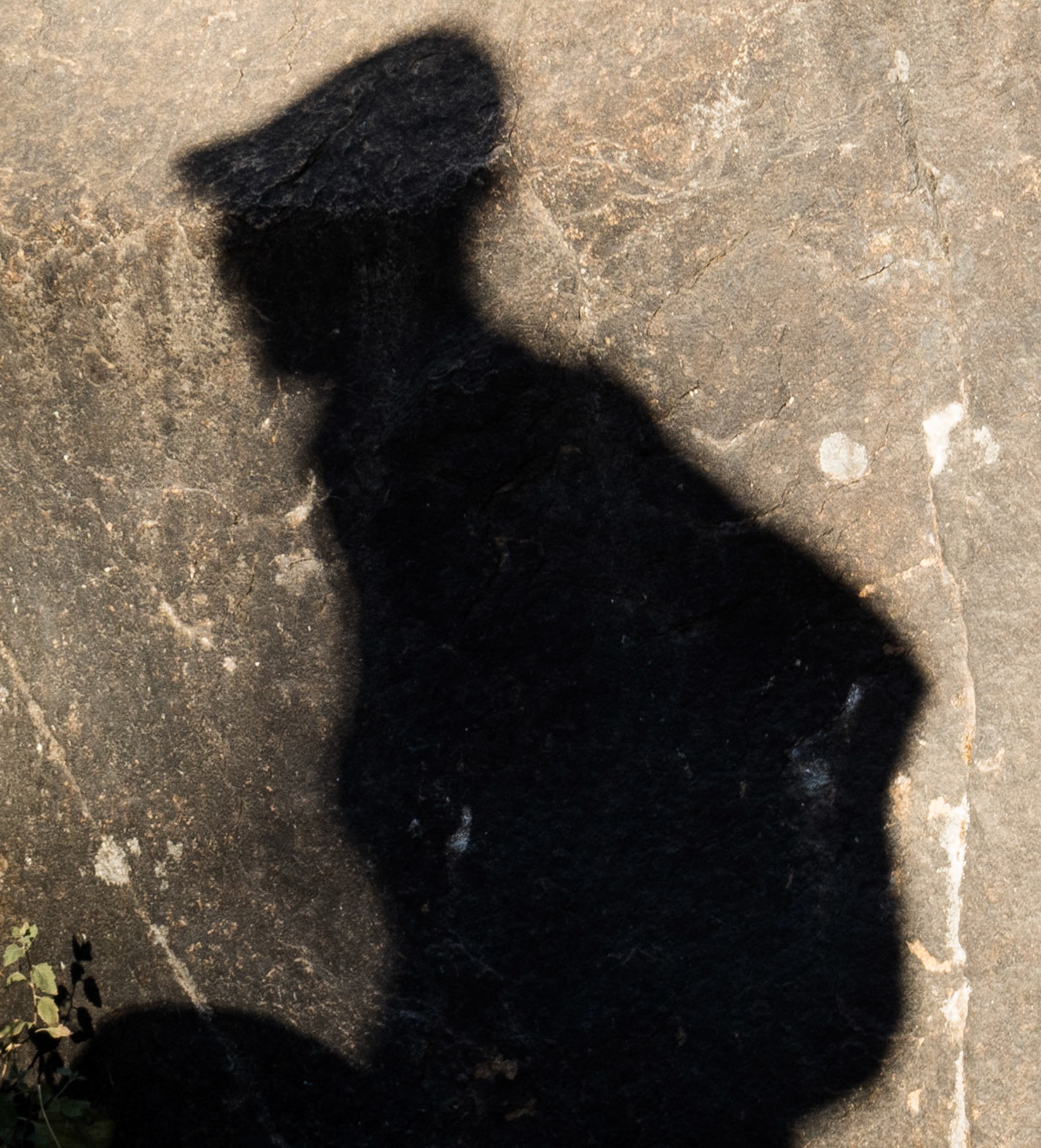 Shadow walker, Yosemite National Park, Calfornia, 2013