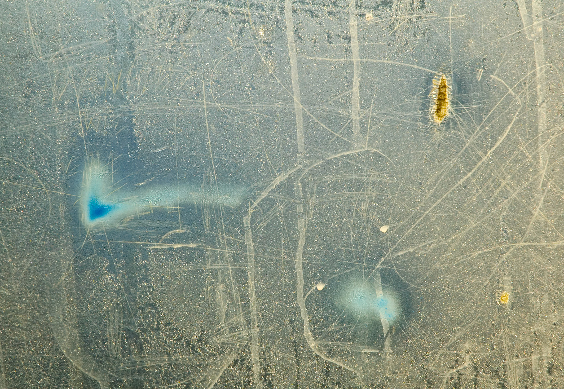 Bus shelter abstract, Polton, Midlothian, 2008