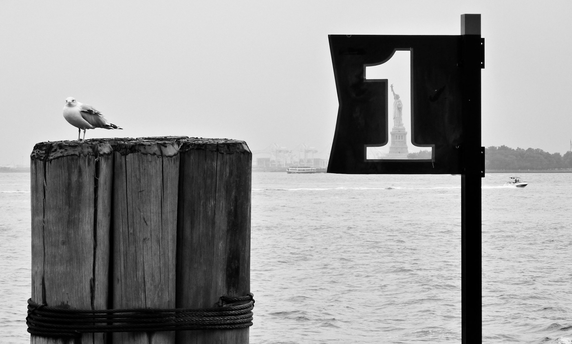 Liberty from Battery Park, New York, 2009
