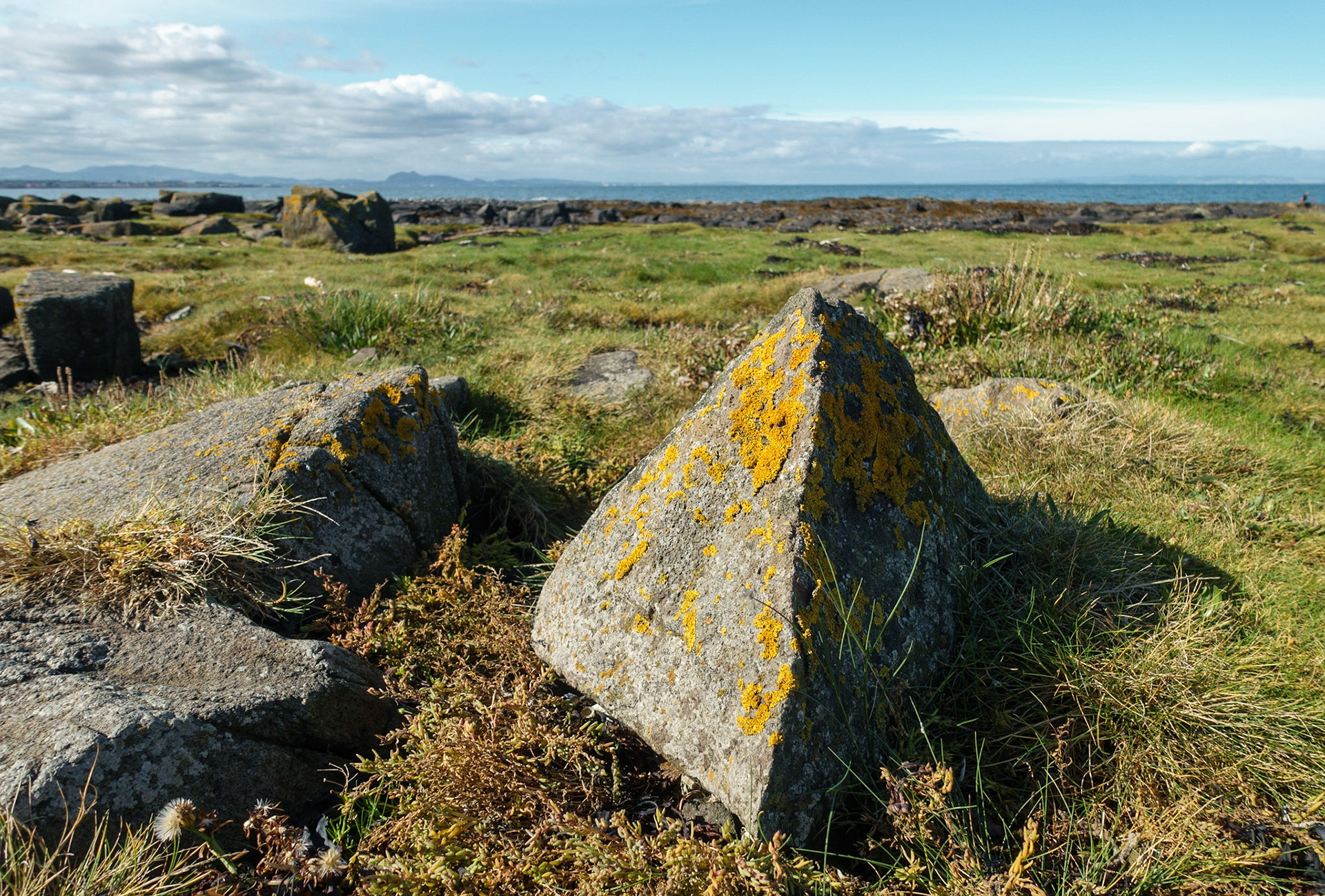 Longniddry Bents, 2021