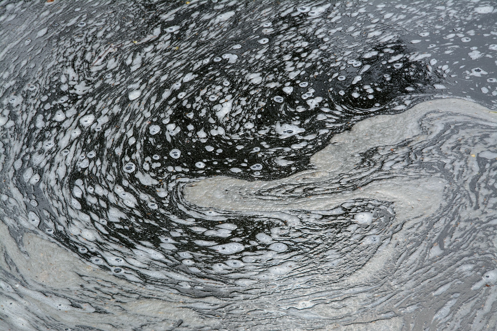 Pond, Royal Botanic Garden Edinburgh, 2021