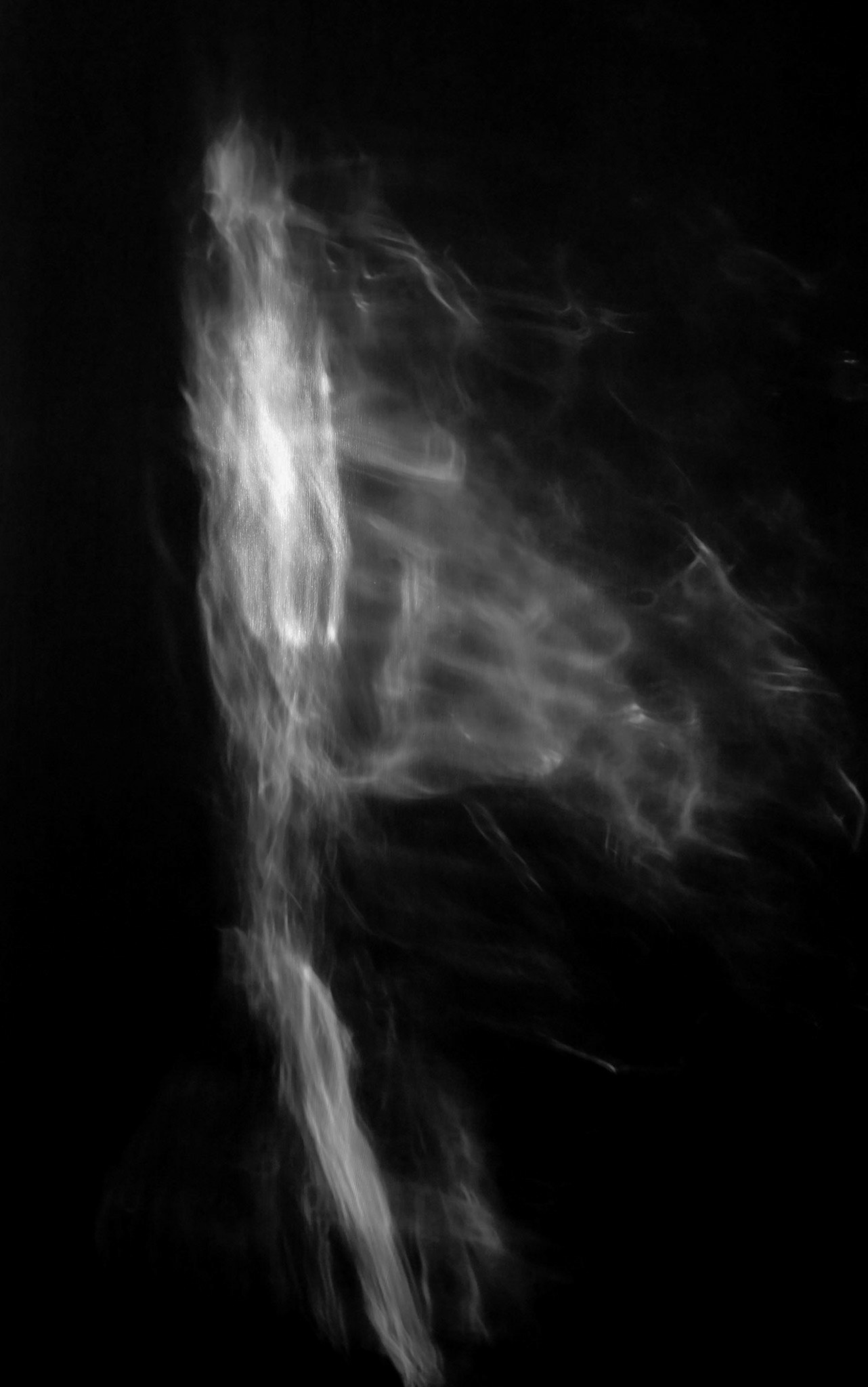 Light pattern, Janebank, 2020