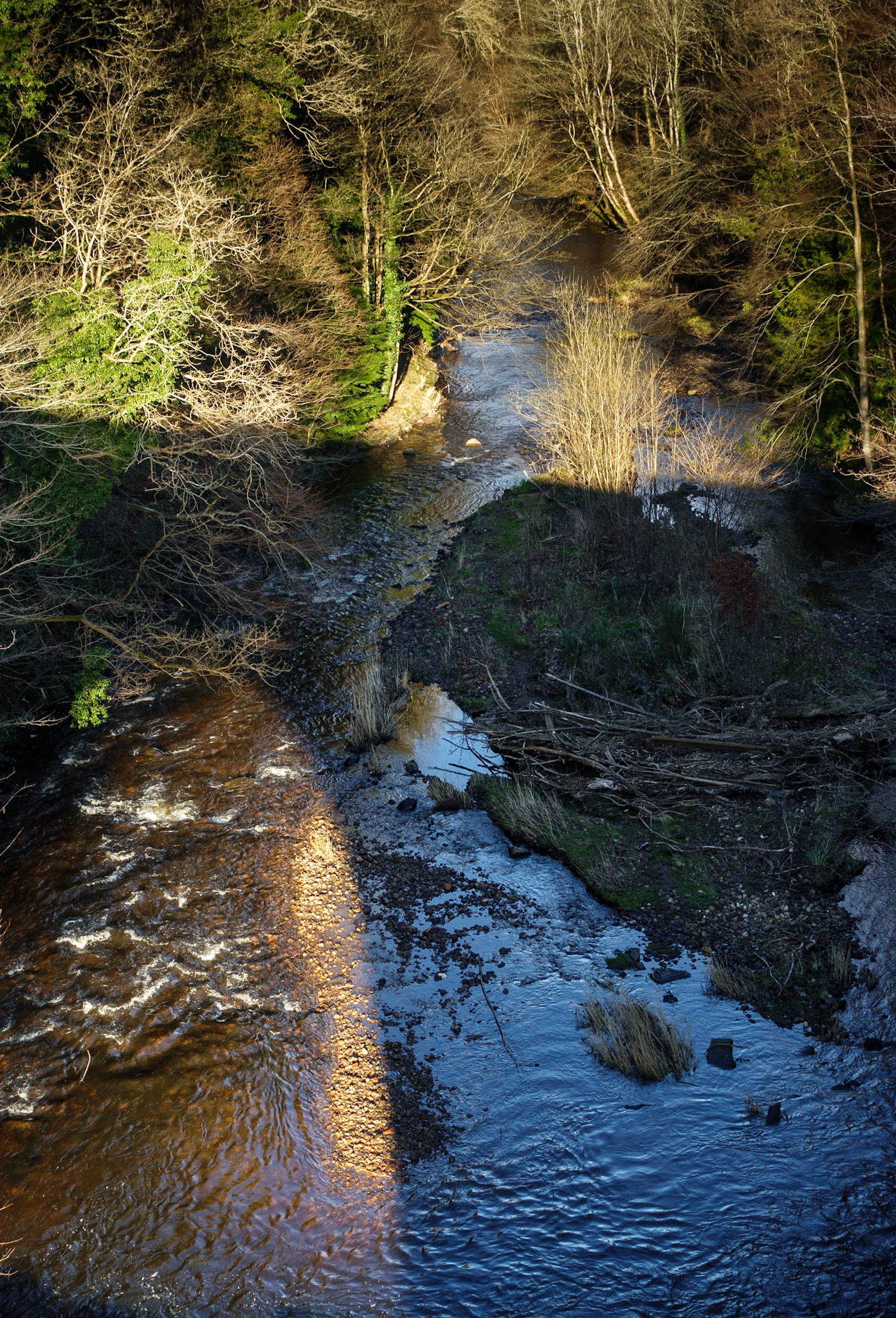 River North Esk at Dalkeith Country Park, 2022