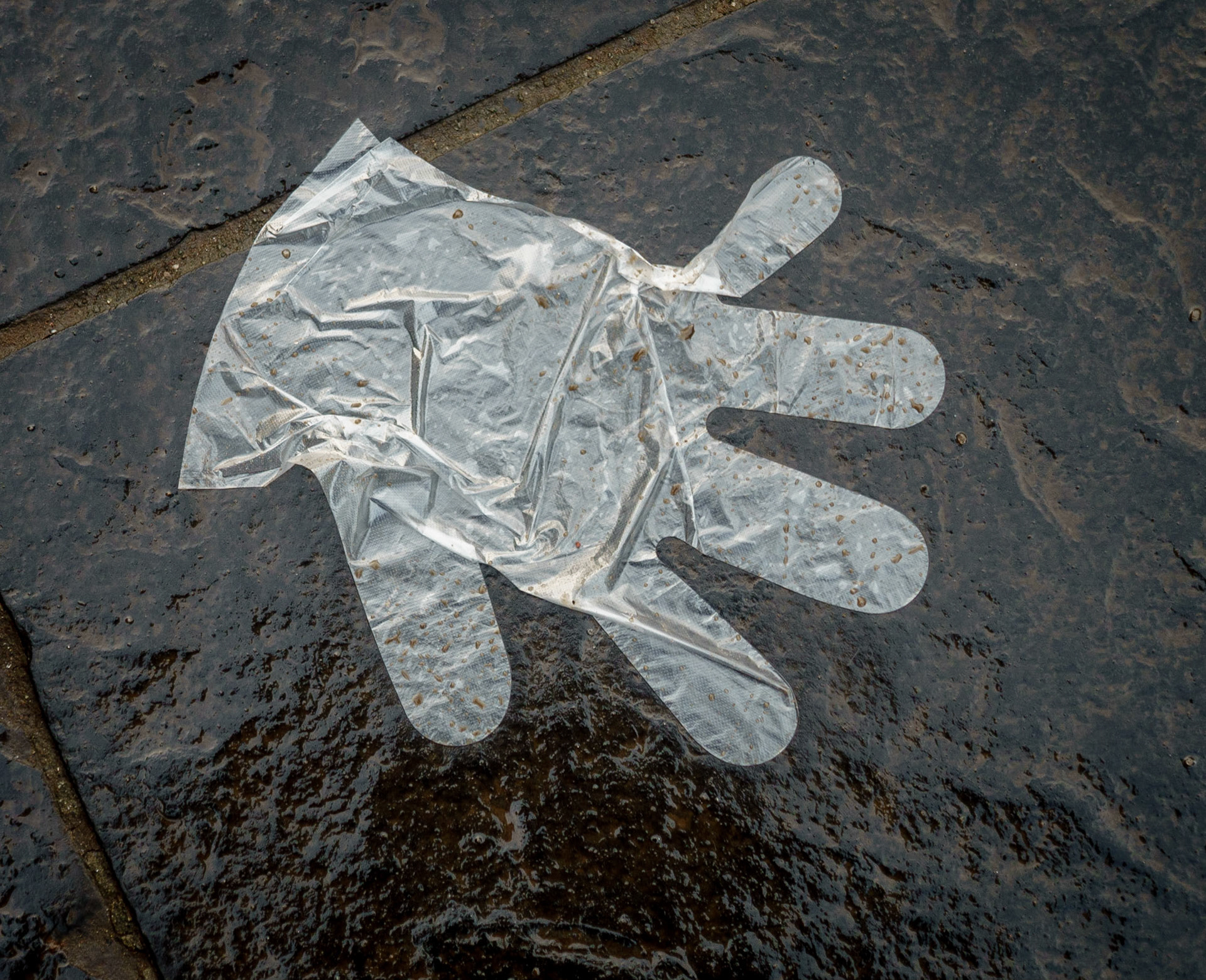 Glove, Edinburgh, 2023