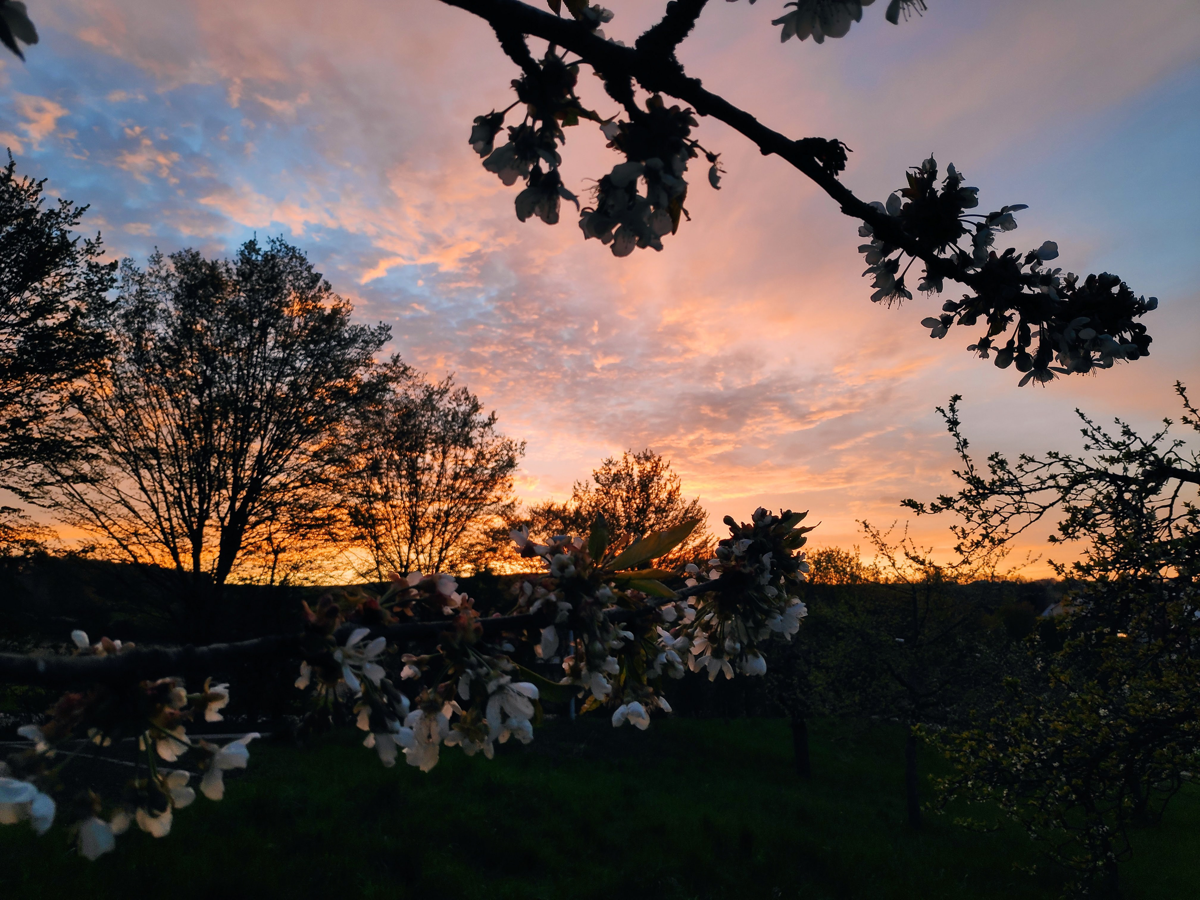 Lappersdorf, Sonnenuntergang I