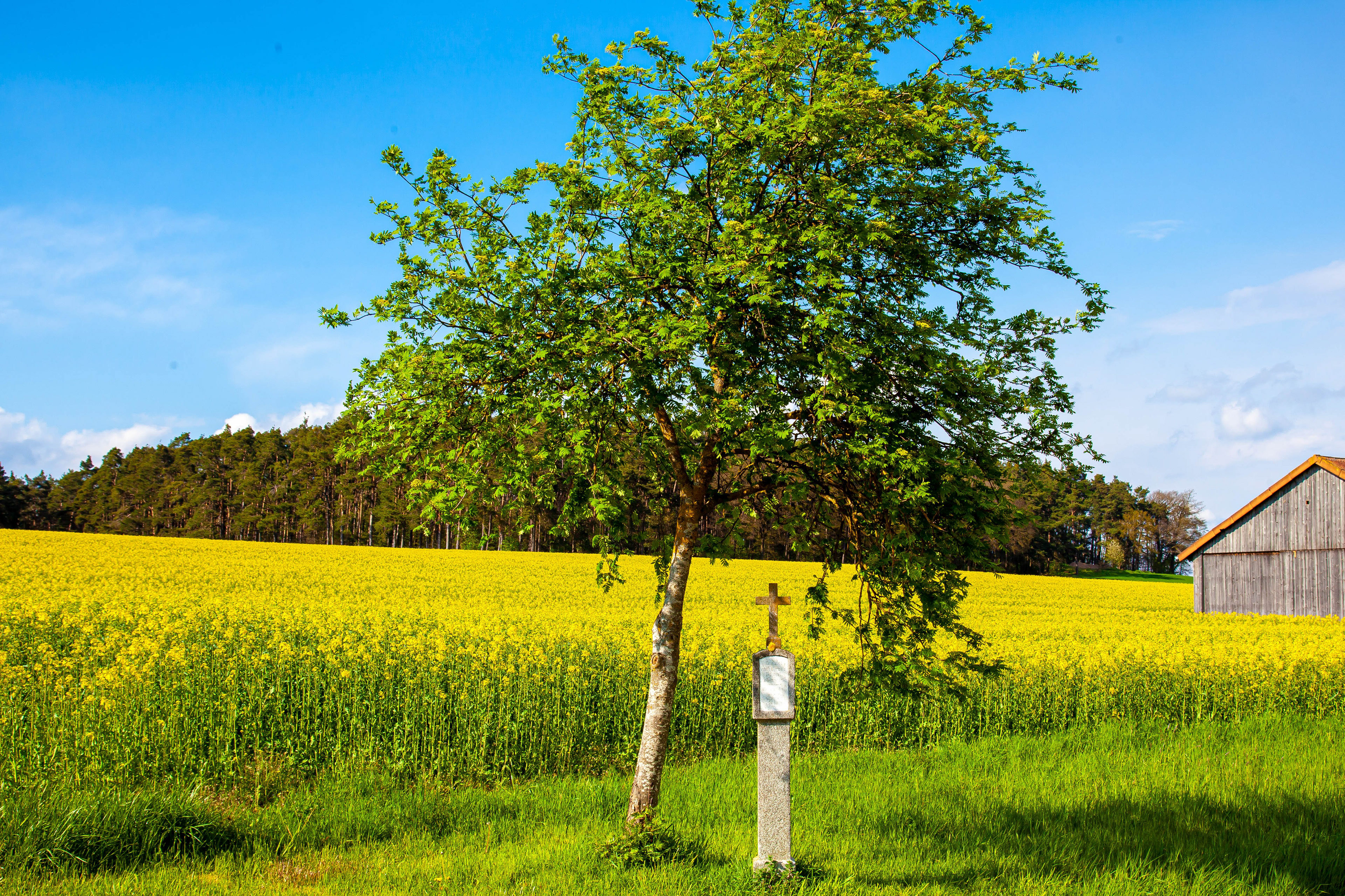 Hohenwarth, Matterl IV