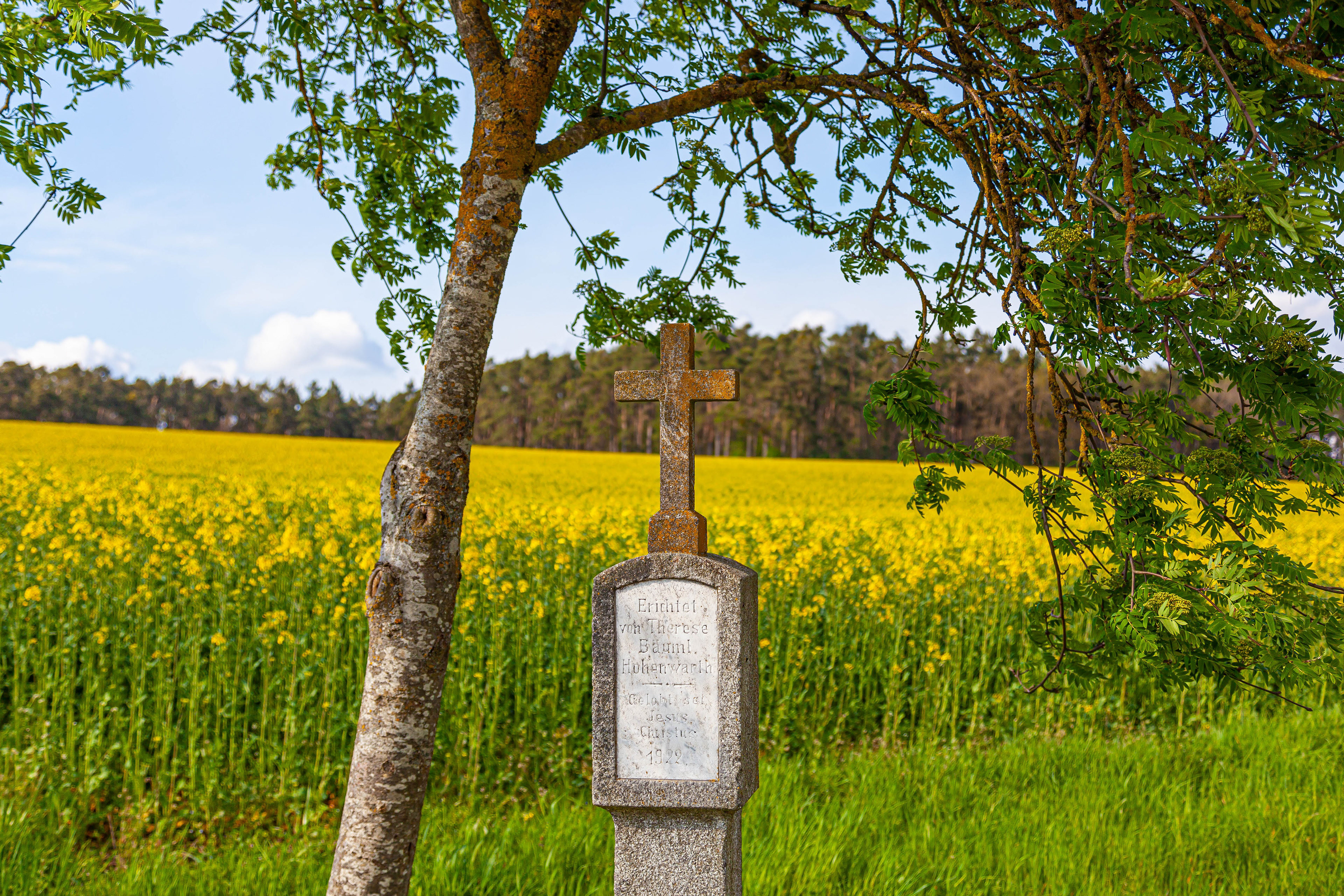 Hohenwarth, Matterl V