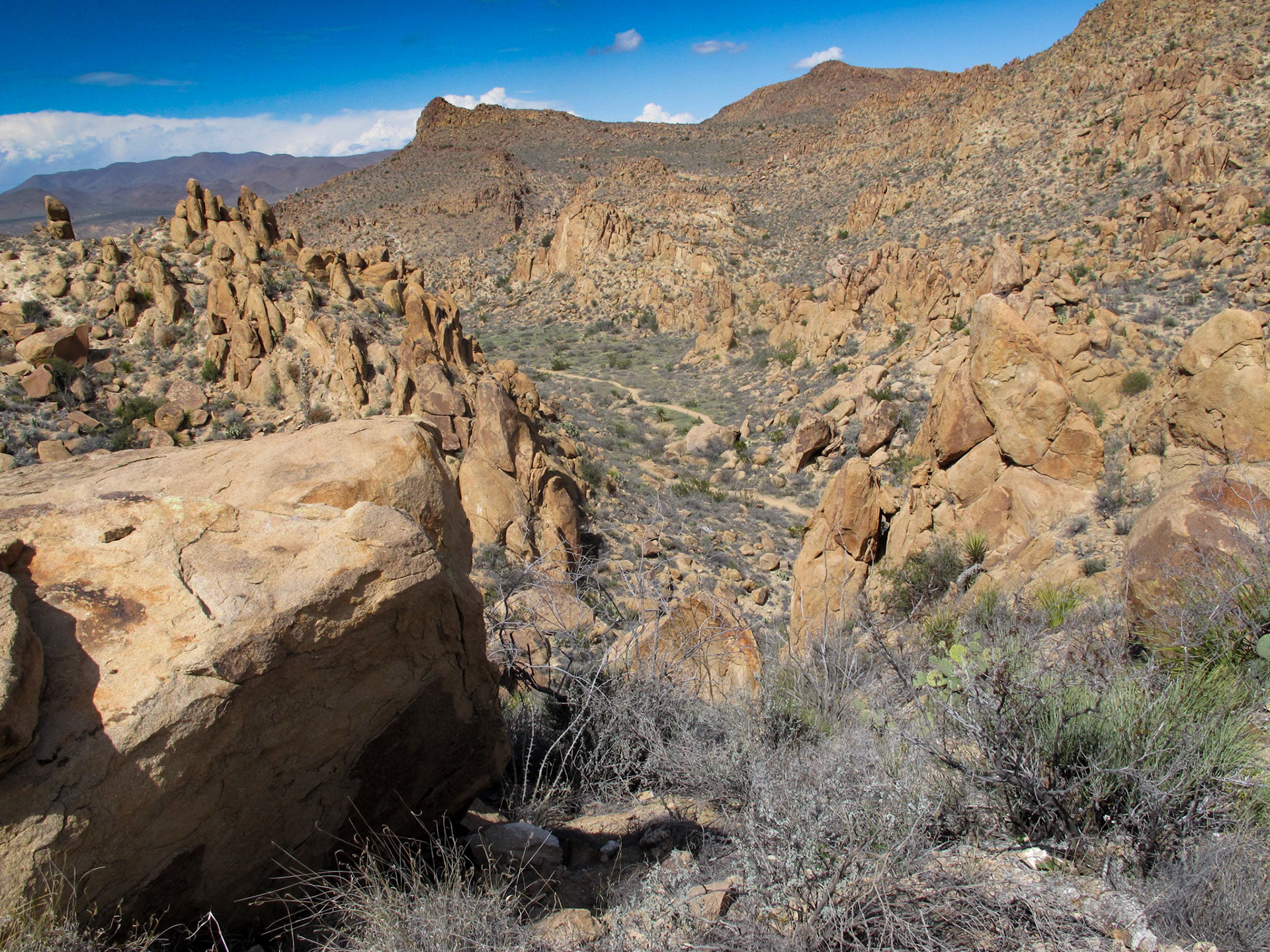 Grapevine Hills