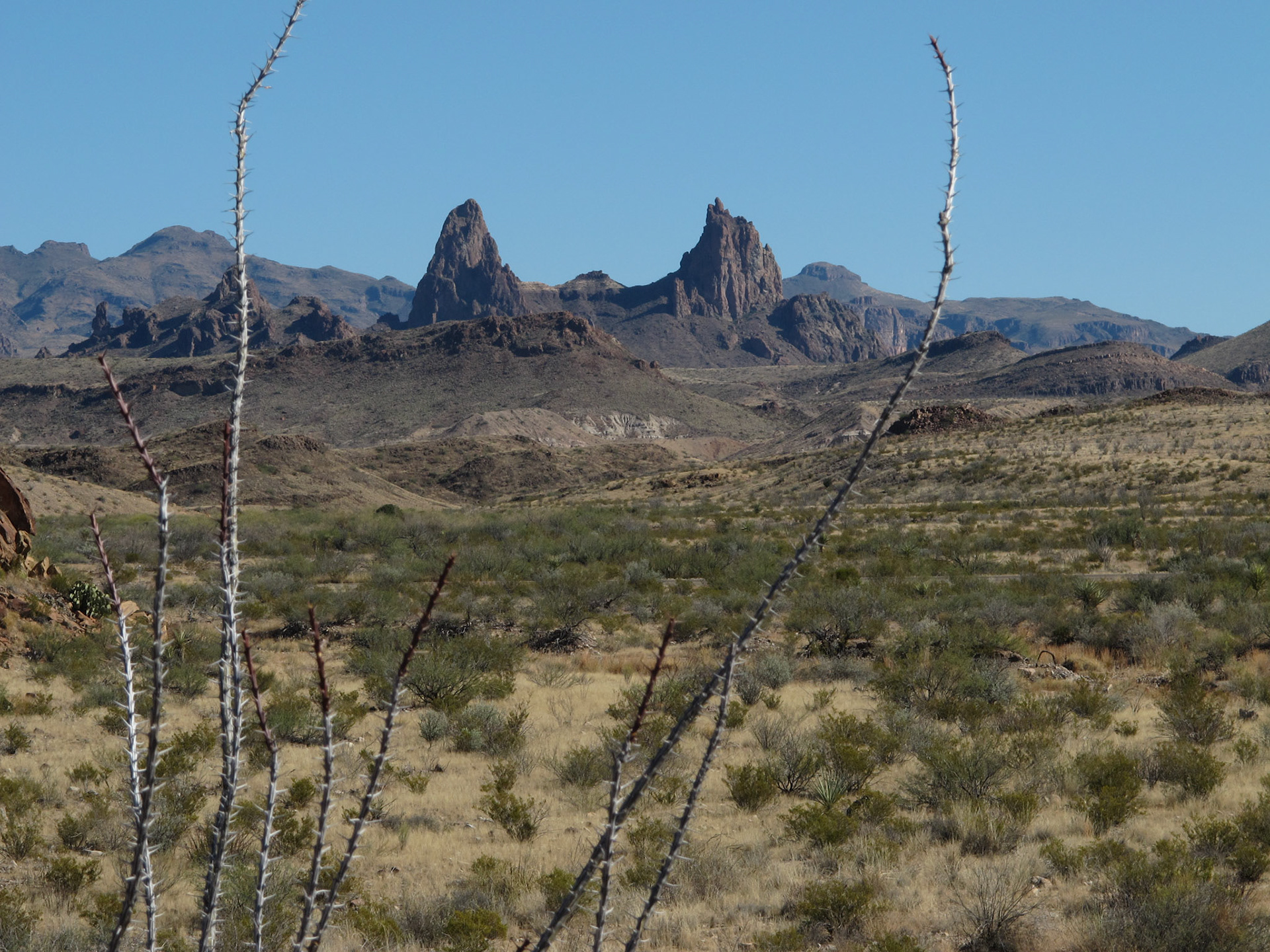 Mule Ears