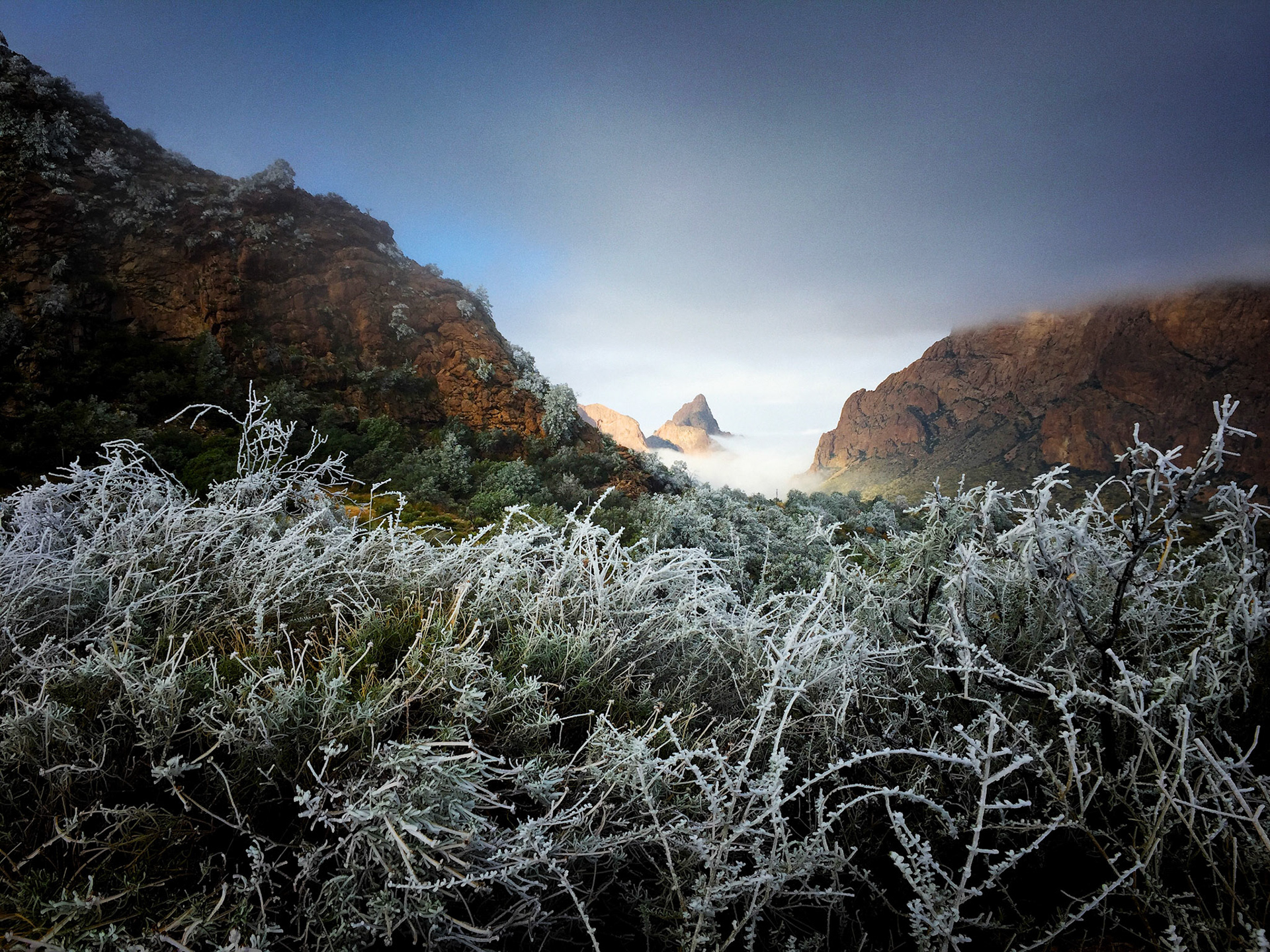 Window Icing