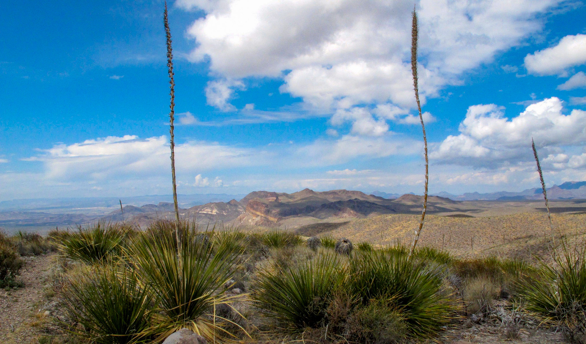 Sotol Vista Overlook