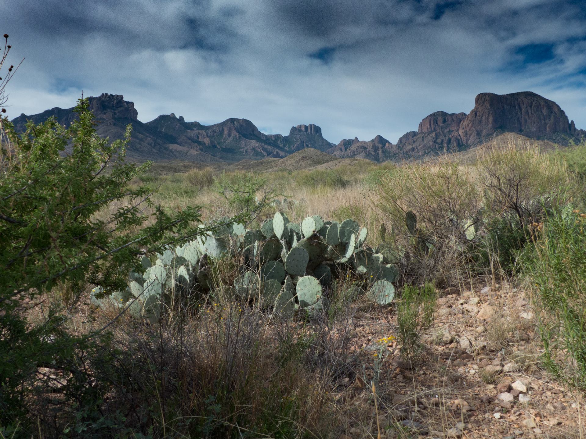 Chisos from Green Gulch