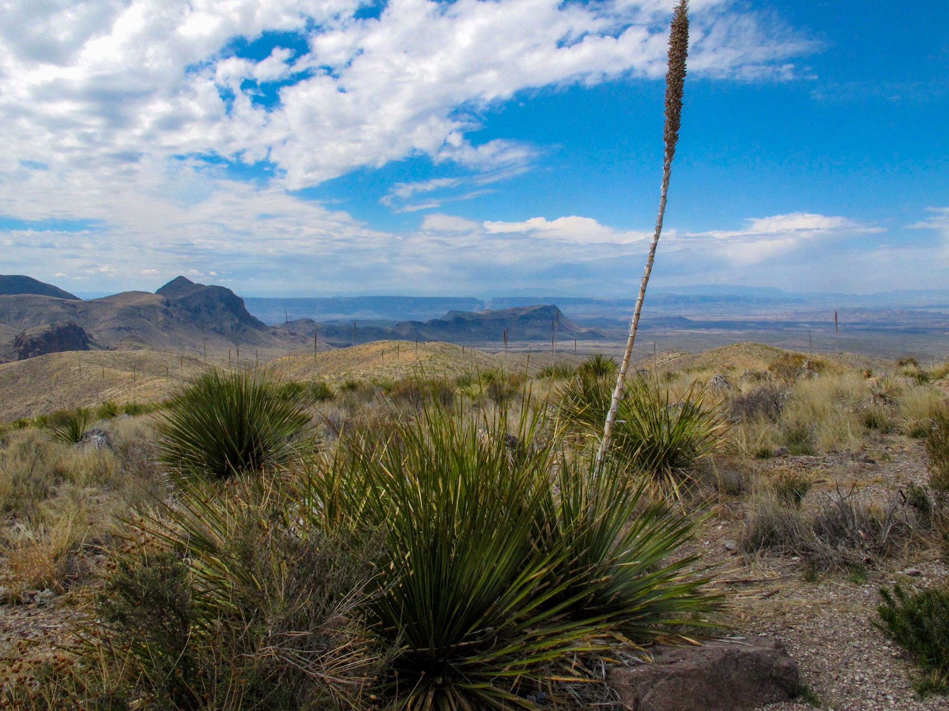 Sotol Vista Overlook