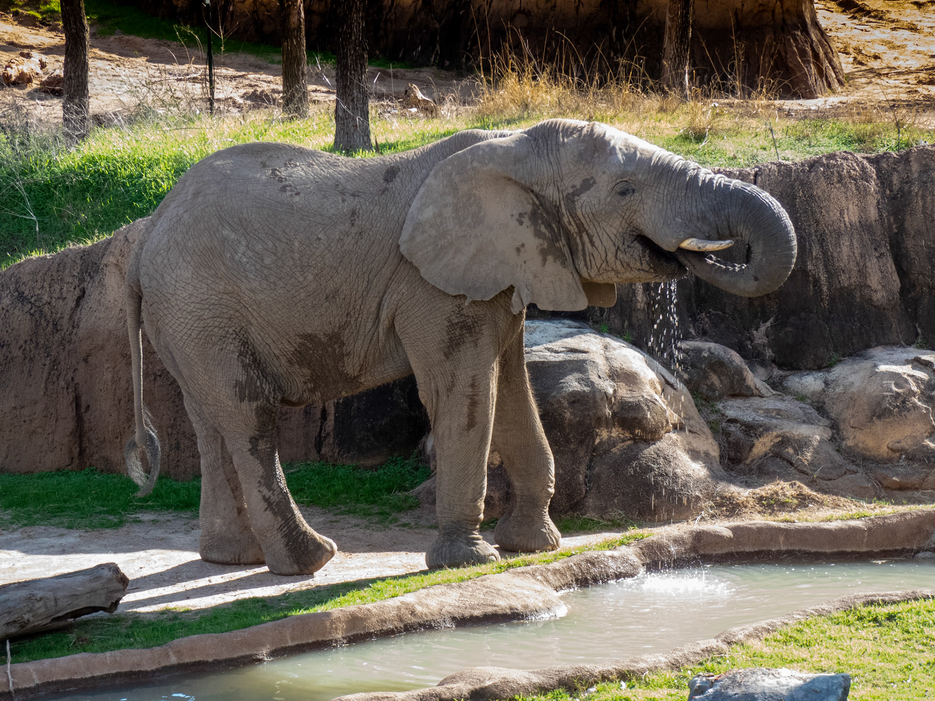 Dallas Zoo