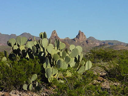 Mule Ears