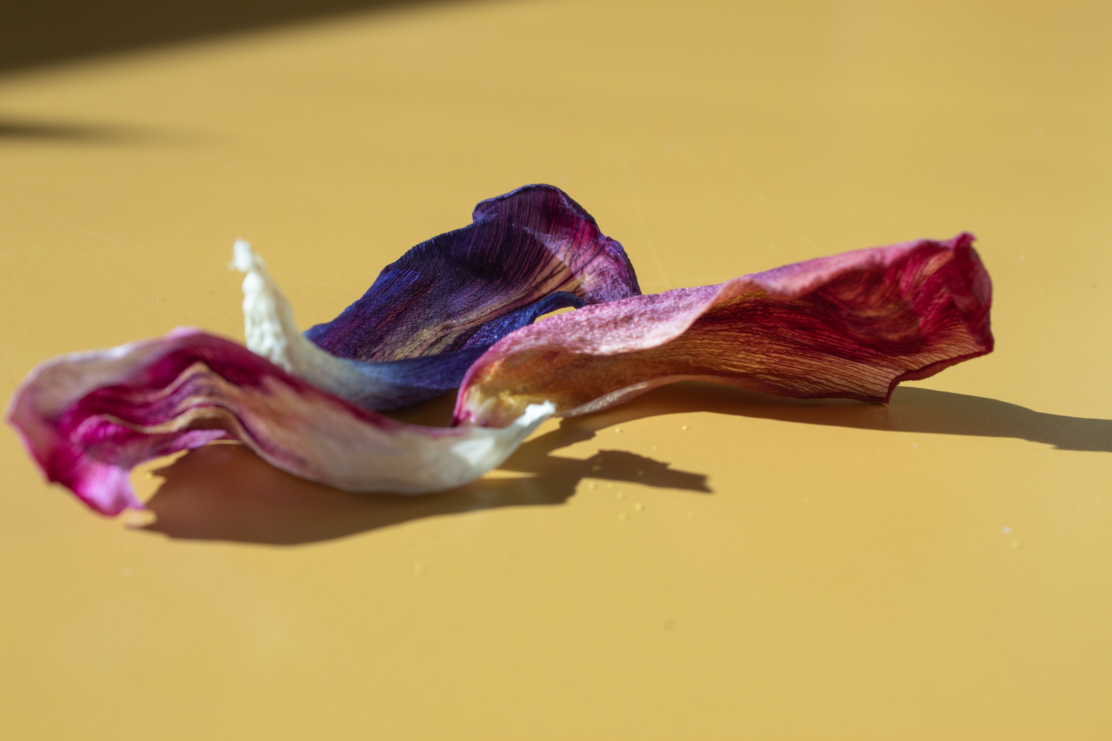 "Reminders of Love", Photography, 2026