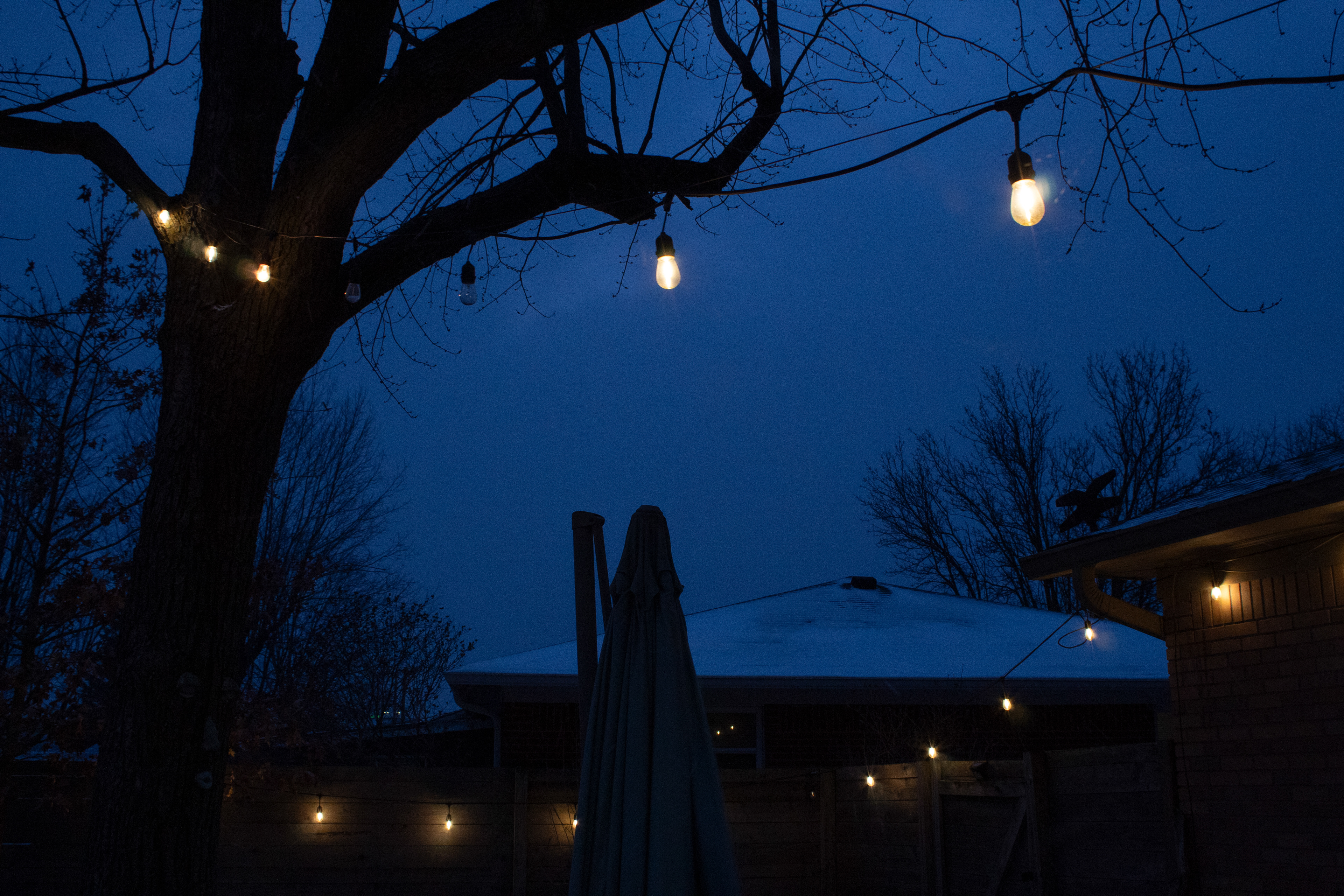 "Untitled", Photography, 2026