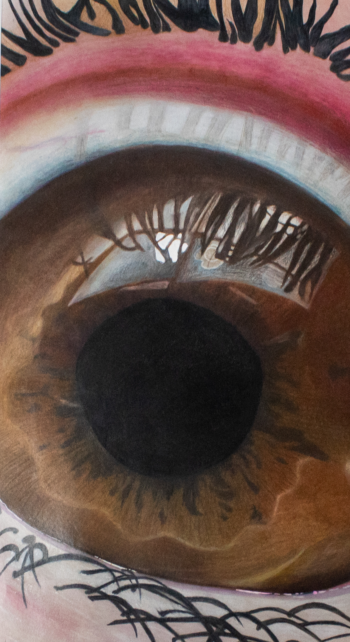 "Through my Eyes", Colored Pencil, 9.5 x 17, 2024 |  This piece is colored pencil and it is one-to-one copy of  a photo of my eye. I have always thought of eyes as the window to the soul so I wanted to capture as much emotion as i could.