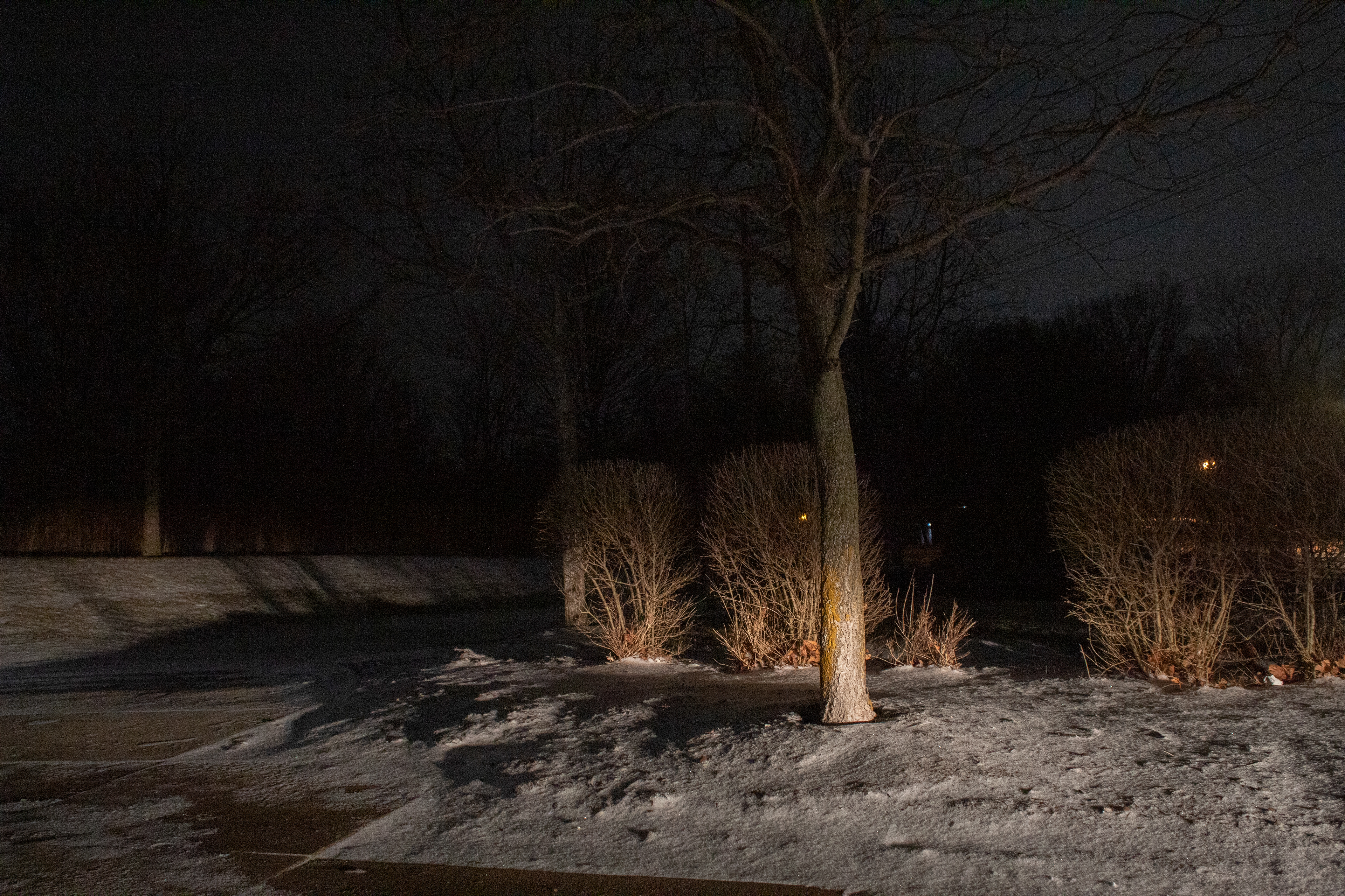 "Untitled", Photography, 2026