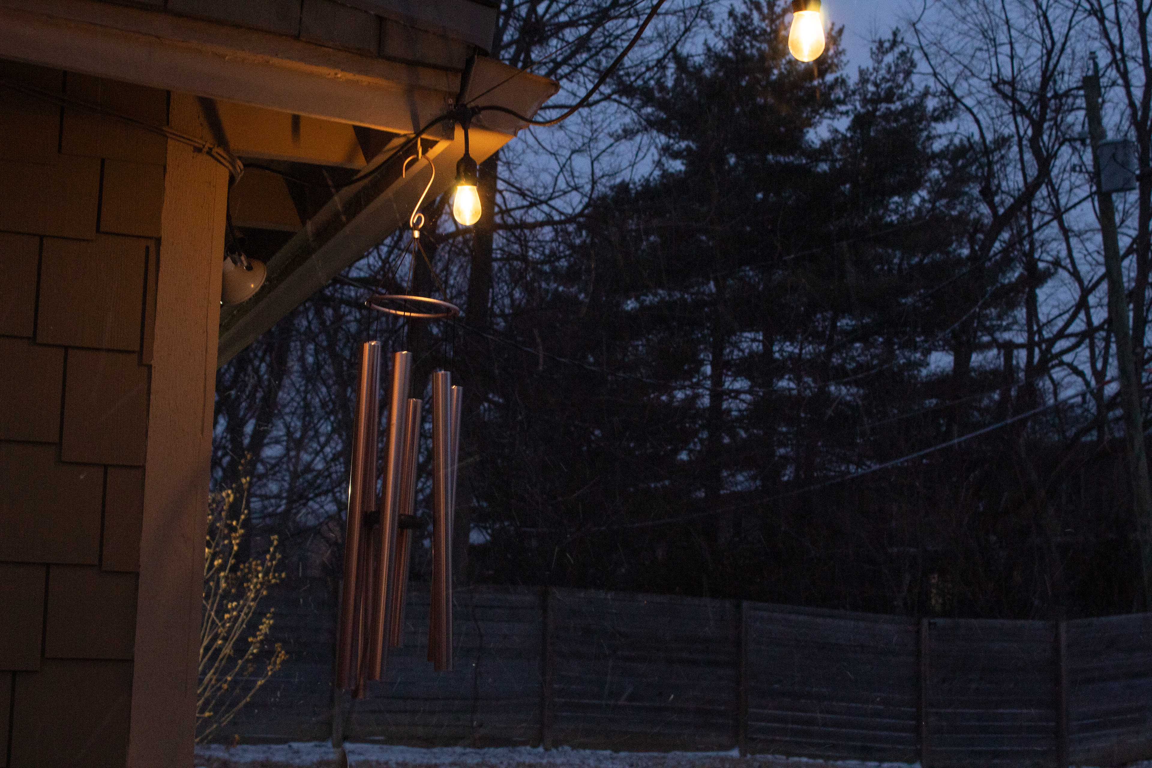 "Untitled", Photography, 2026