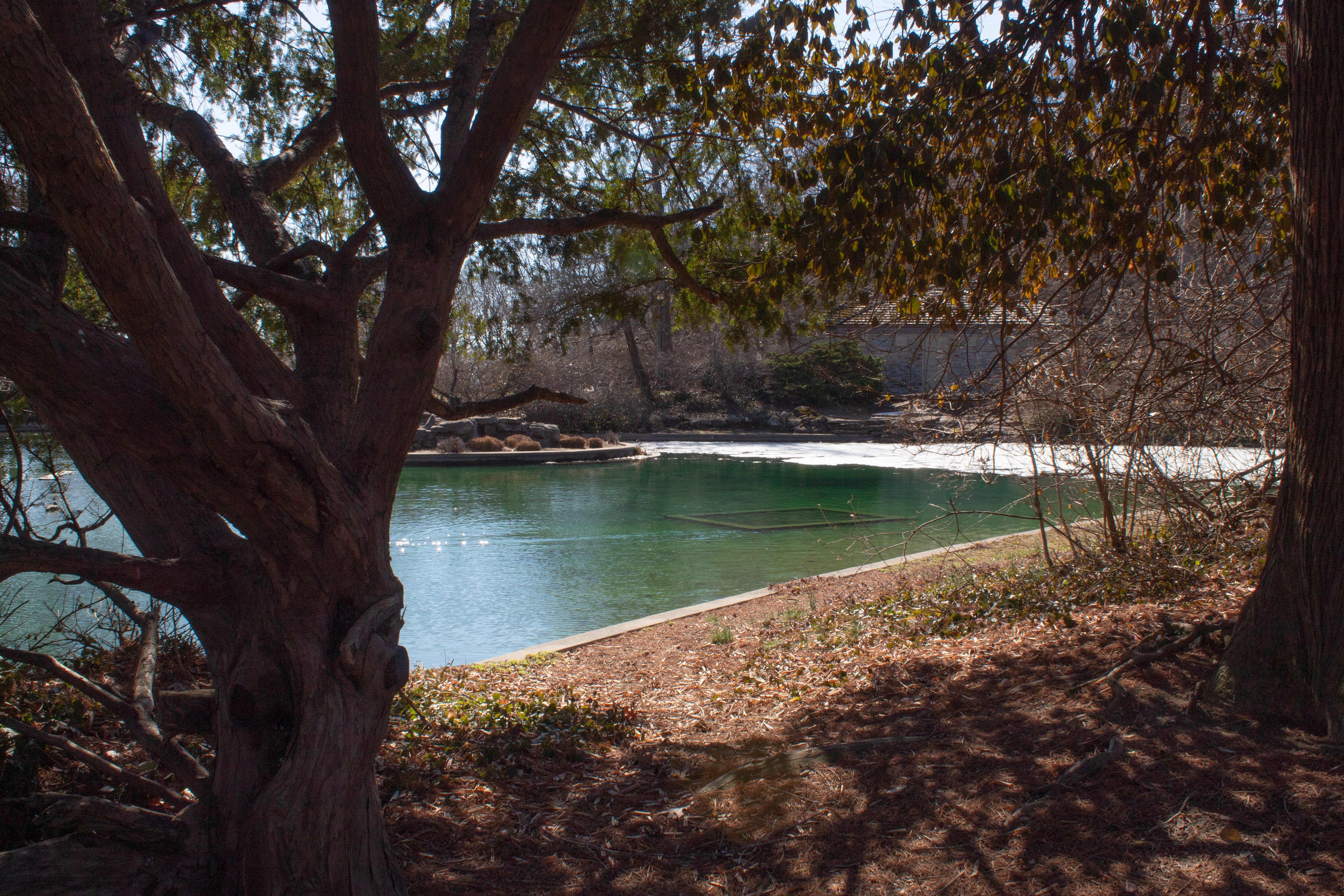 "Untitled", Photography, 2026