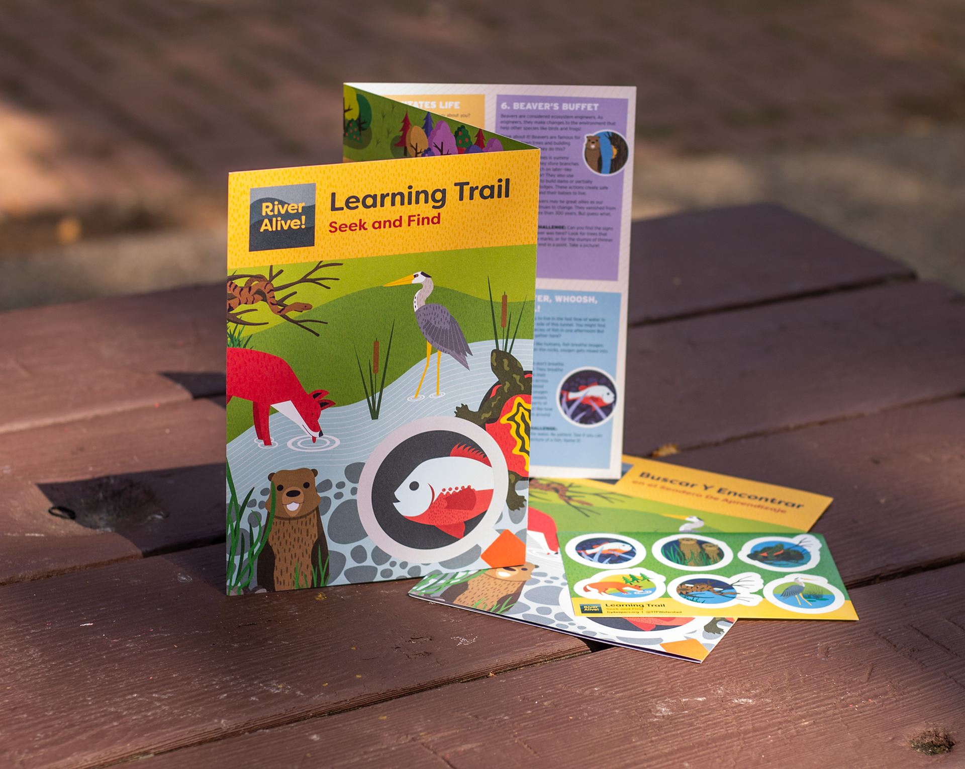 Scavenger hunt map trifold (Cover) and scavenger hunt sticker sheet