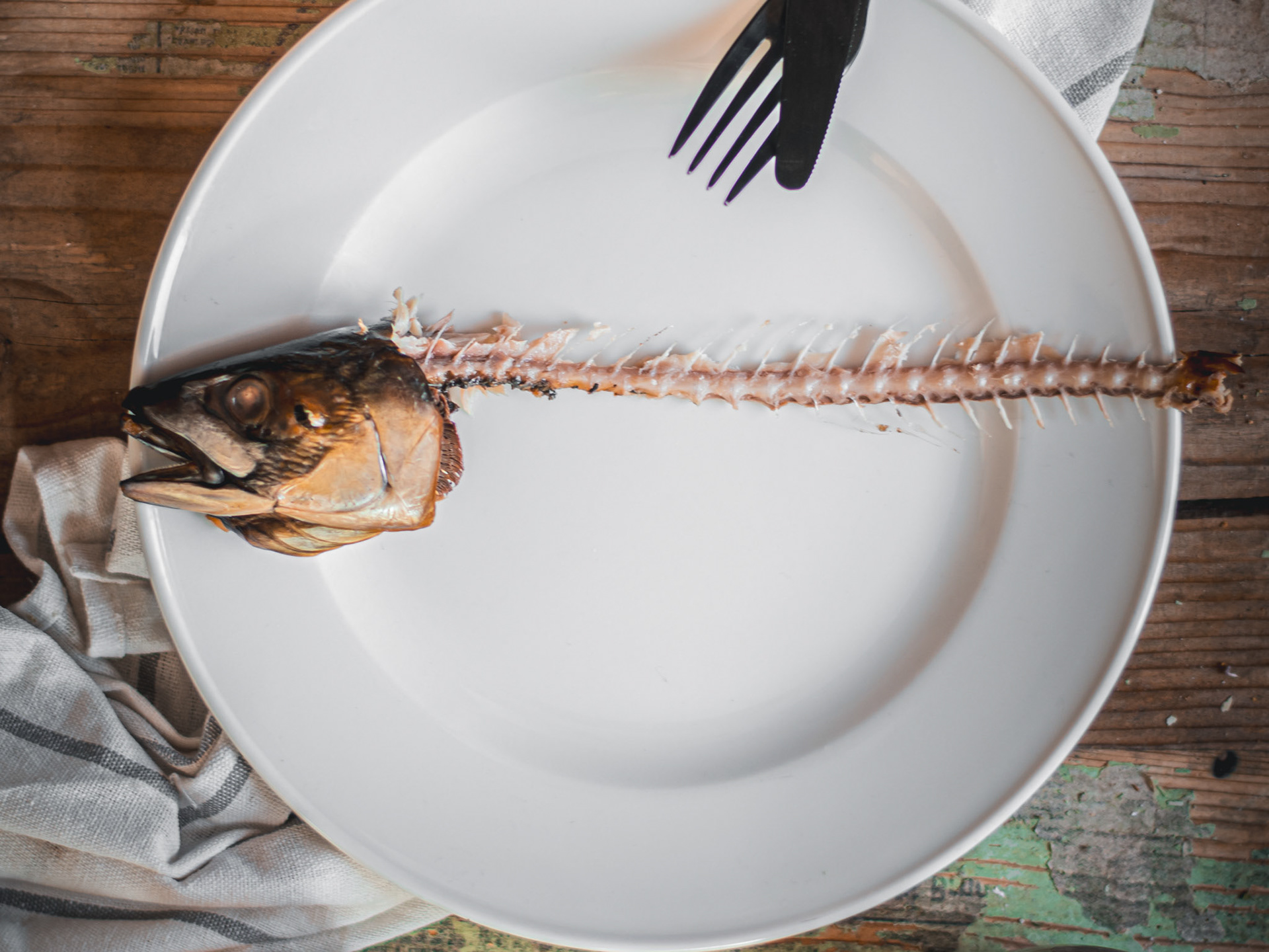 Argilli Food Product Fotografie Siegen