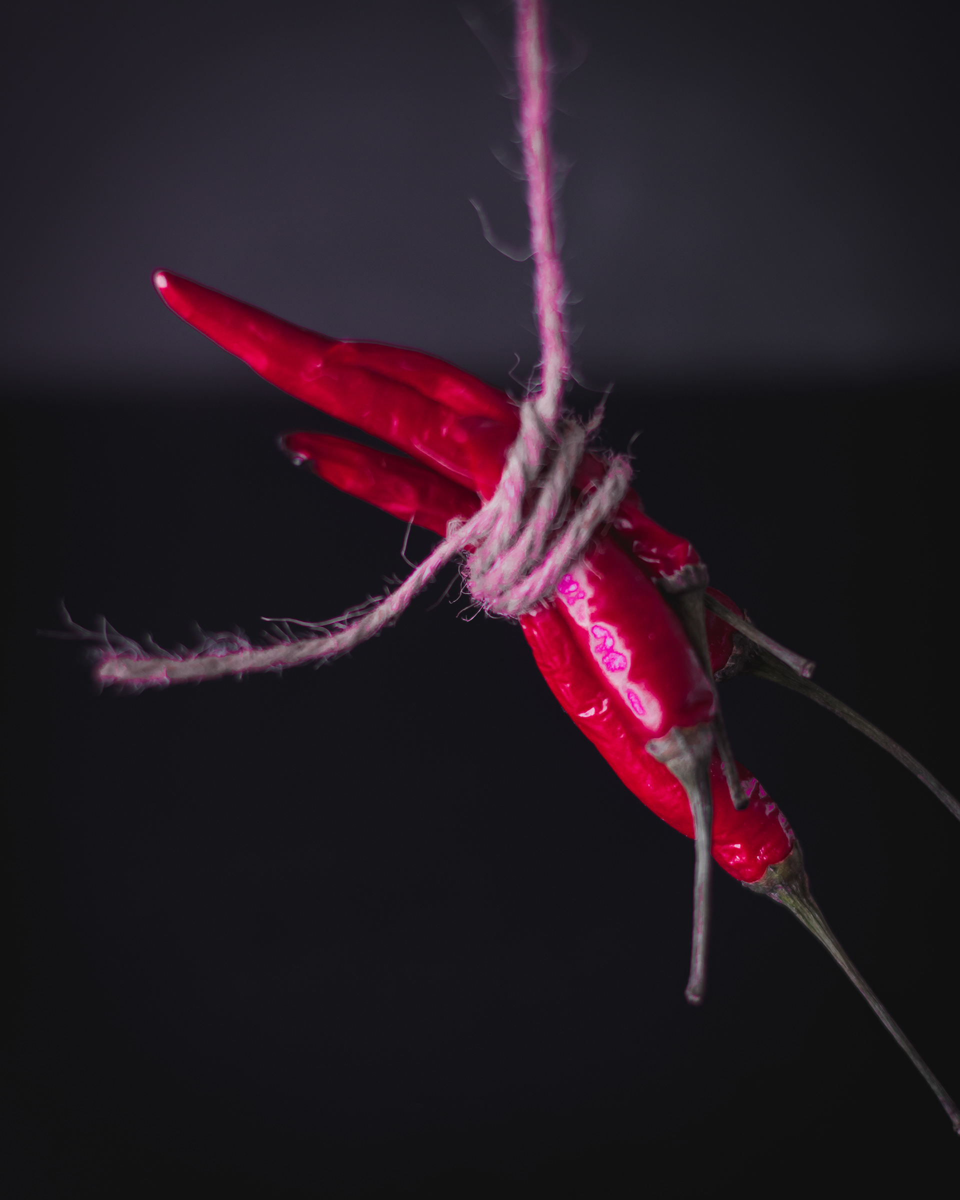 Argilli Food Product Fotografie Siegen