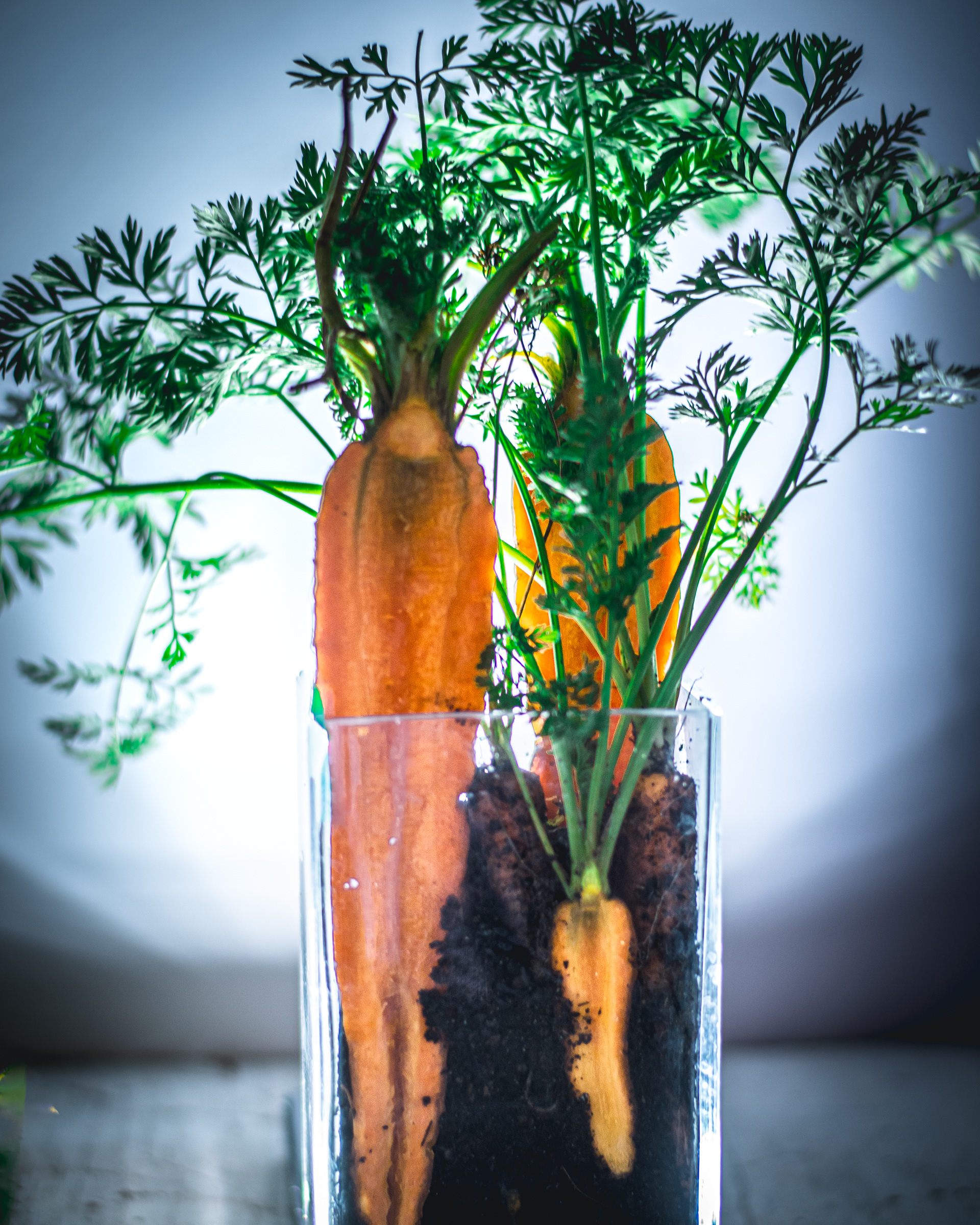 Argilli Food Product Fotografie Siegen