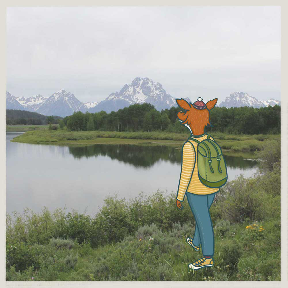 Unterwegs im Grand Tetons National Park