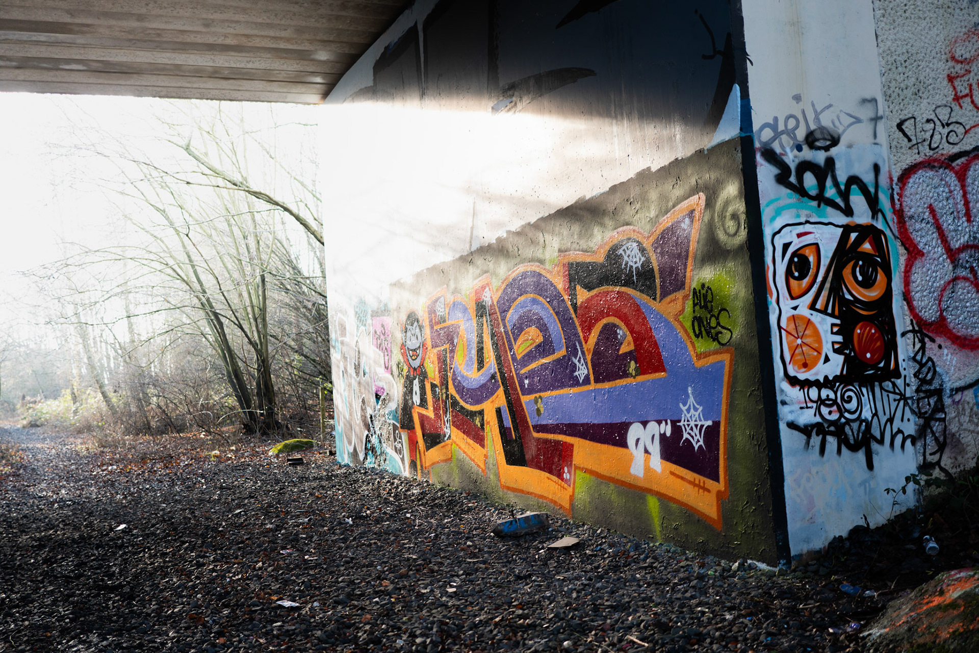  a bridge under a part of the old Washington train line
