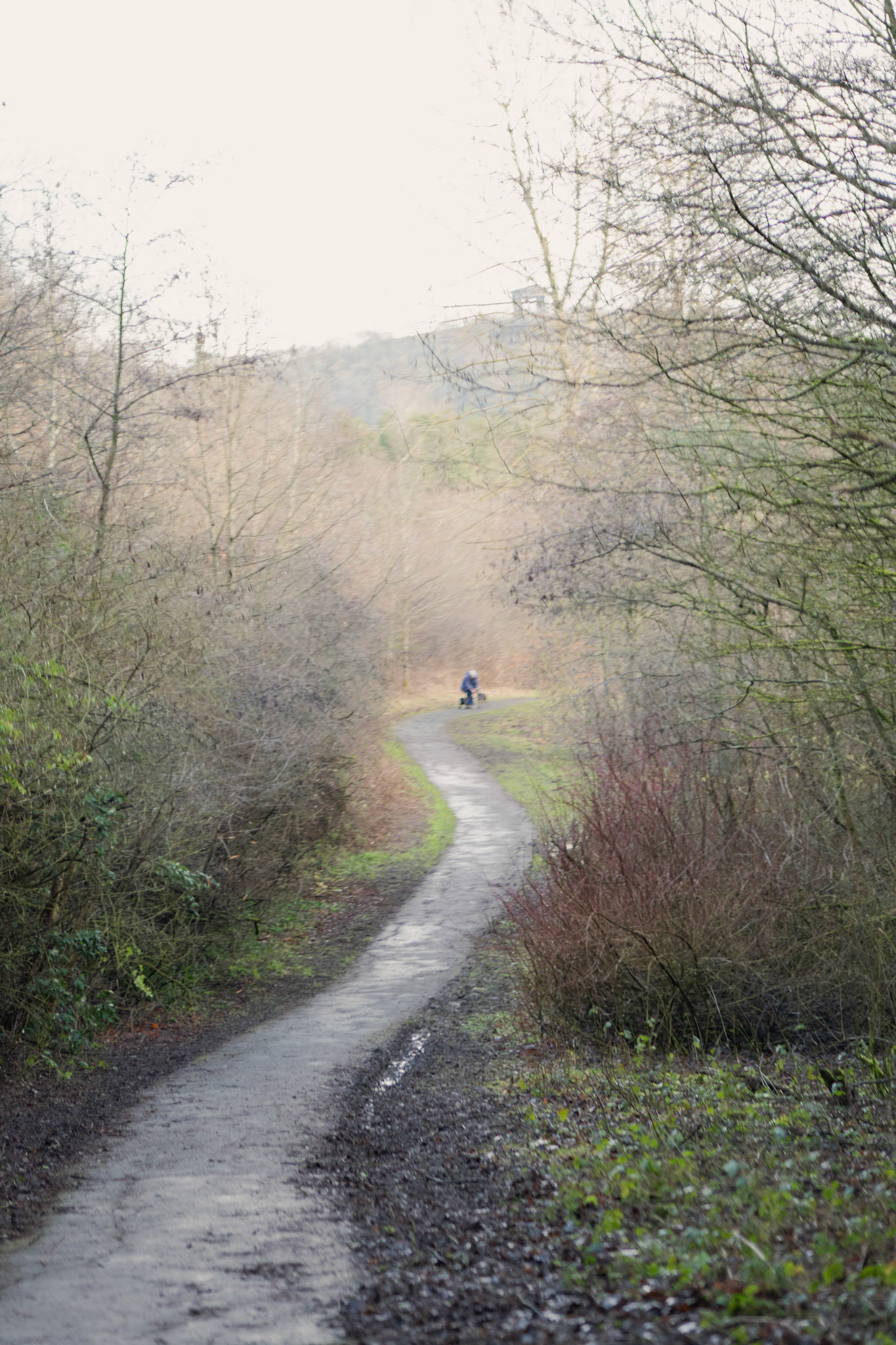 a path in james steel park