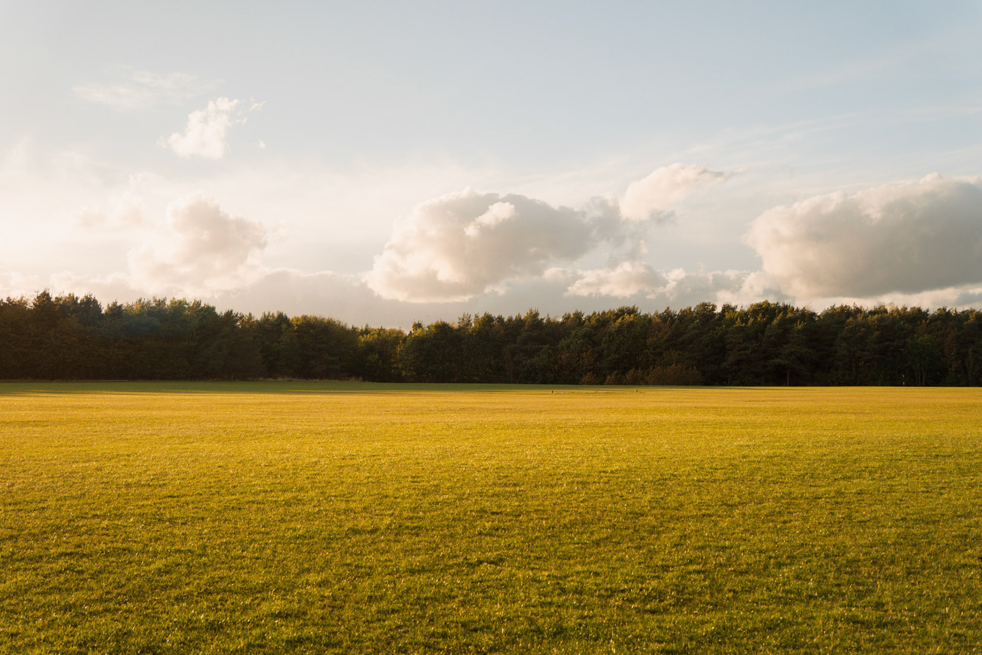 biddick rugby field