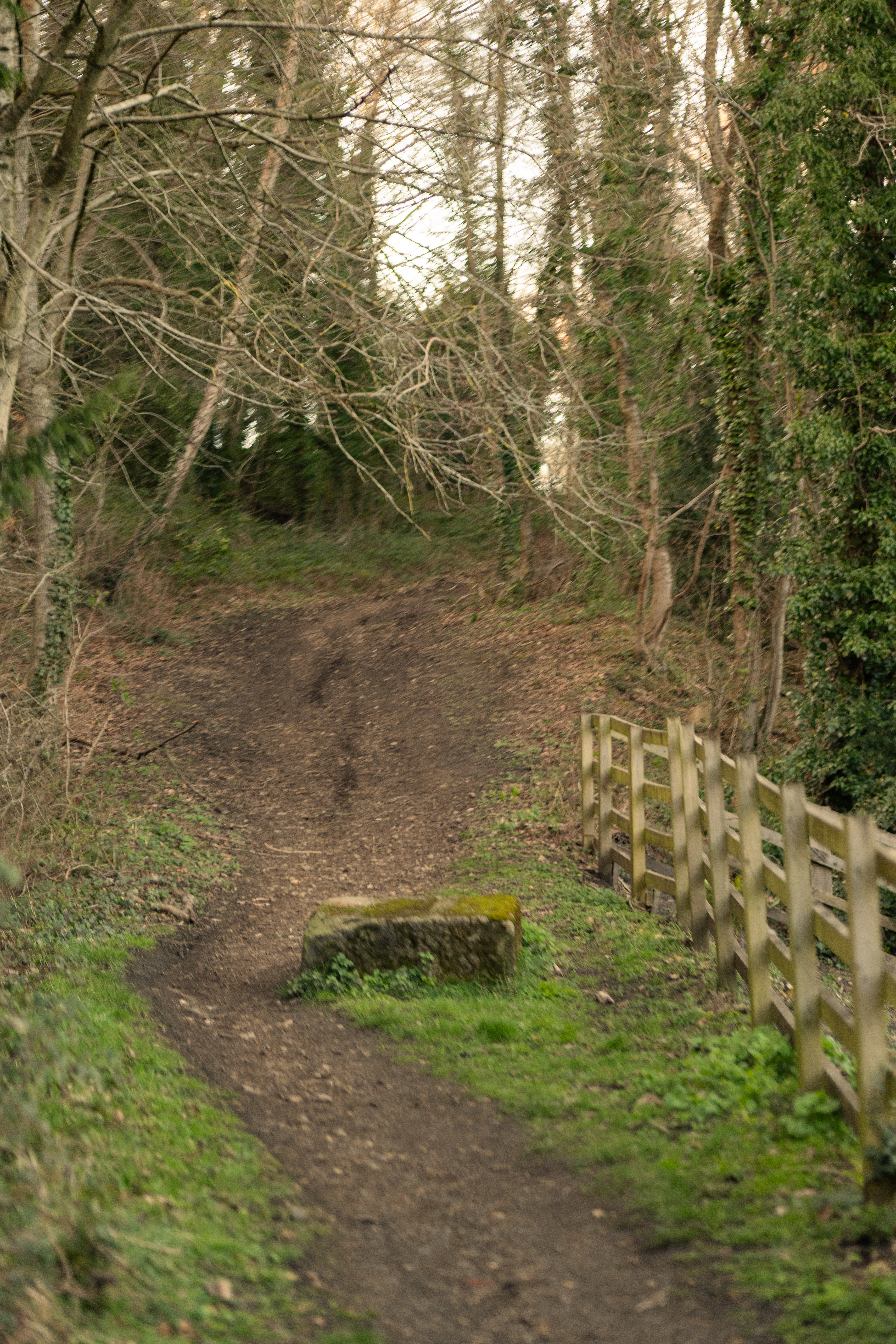 a path 