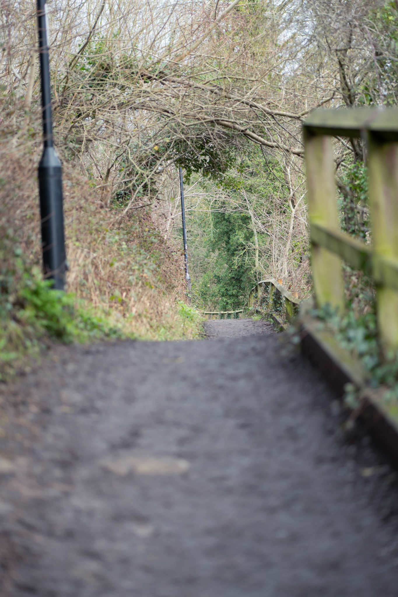 path next to river wear