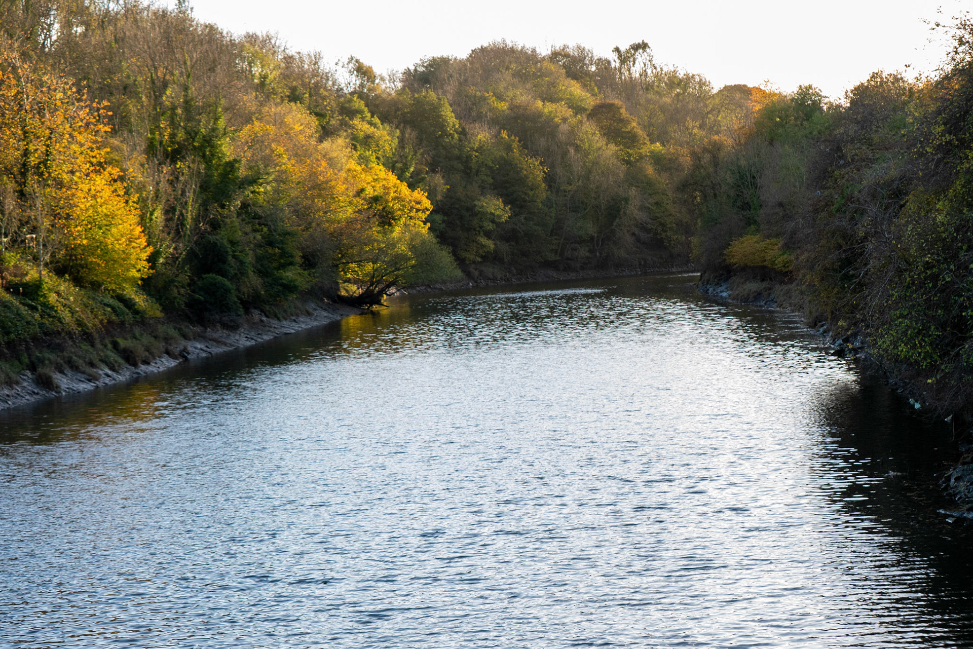 the river wear 