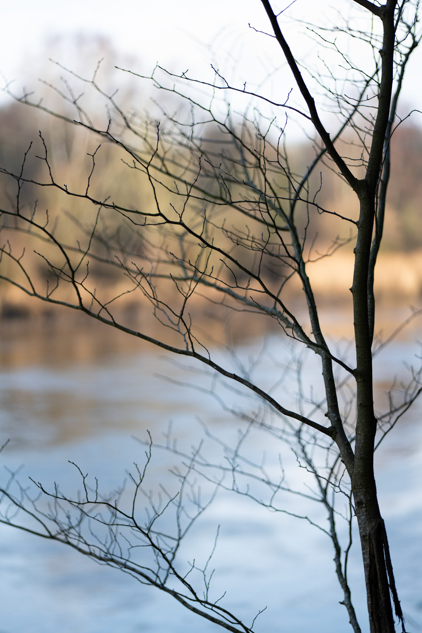 river wear