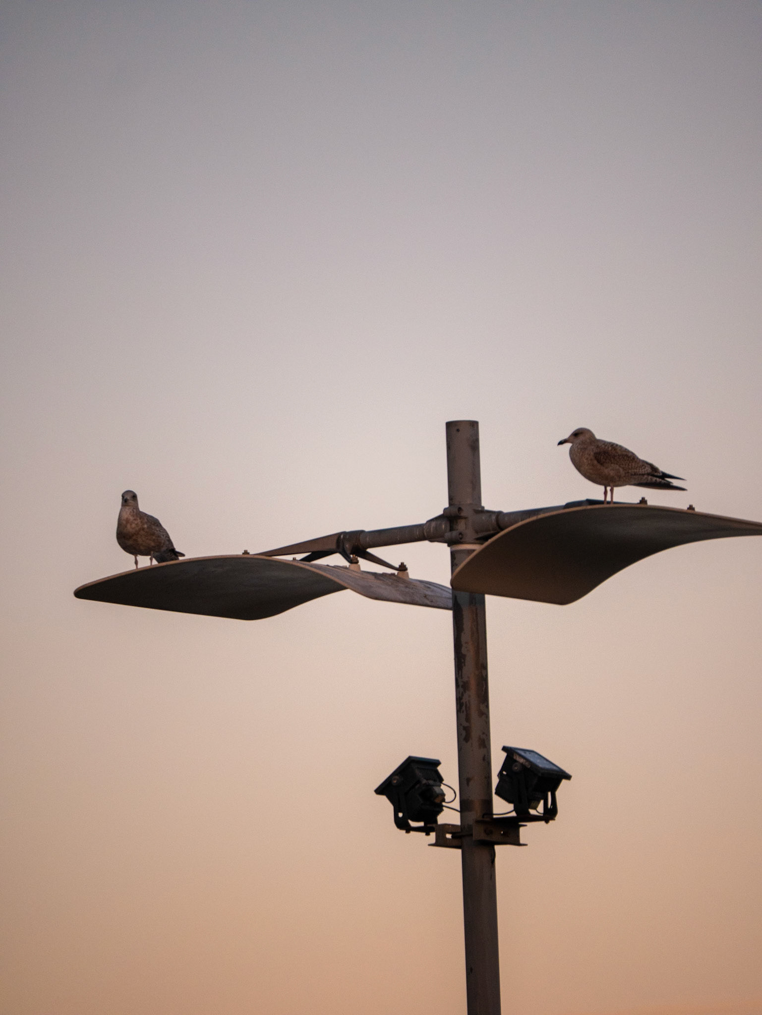 lamp post at seaham 