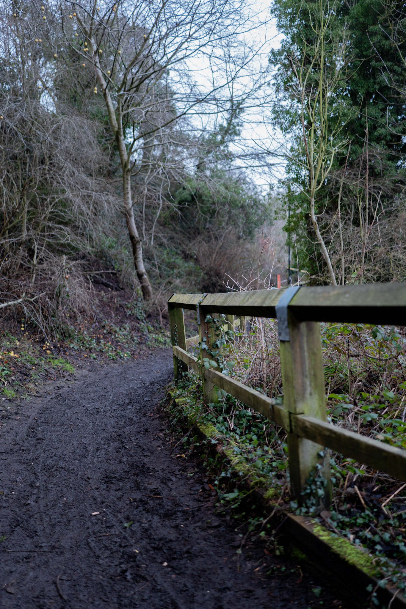path next to river wear
