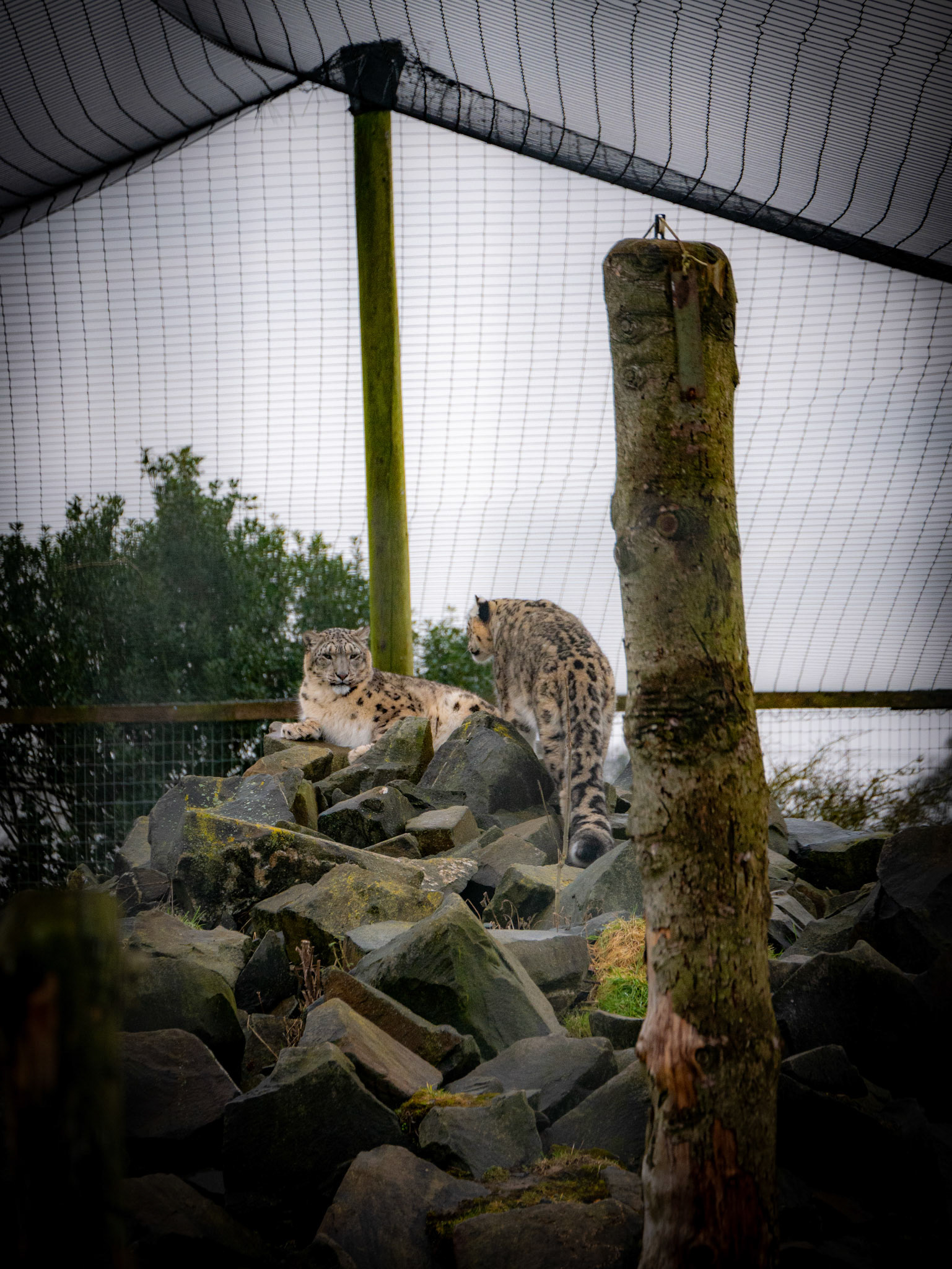  at Northumberland zoo