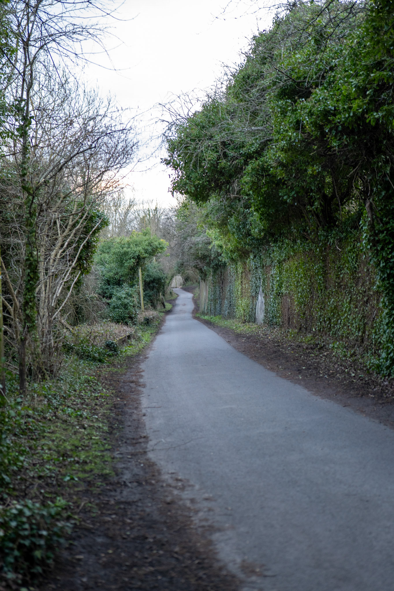a path next to the river wear