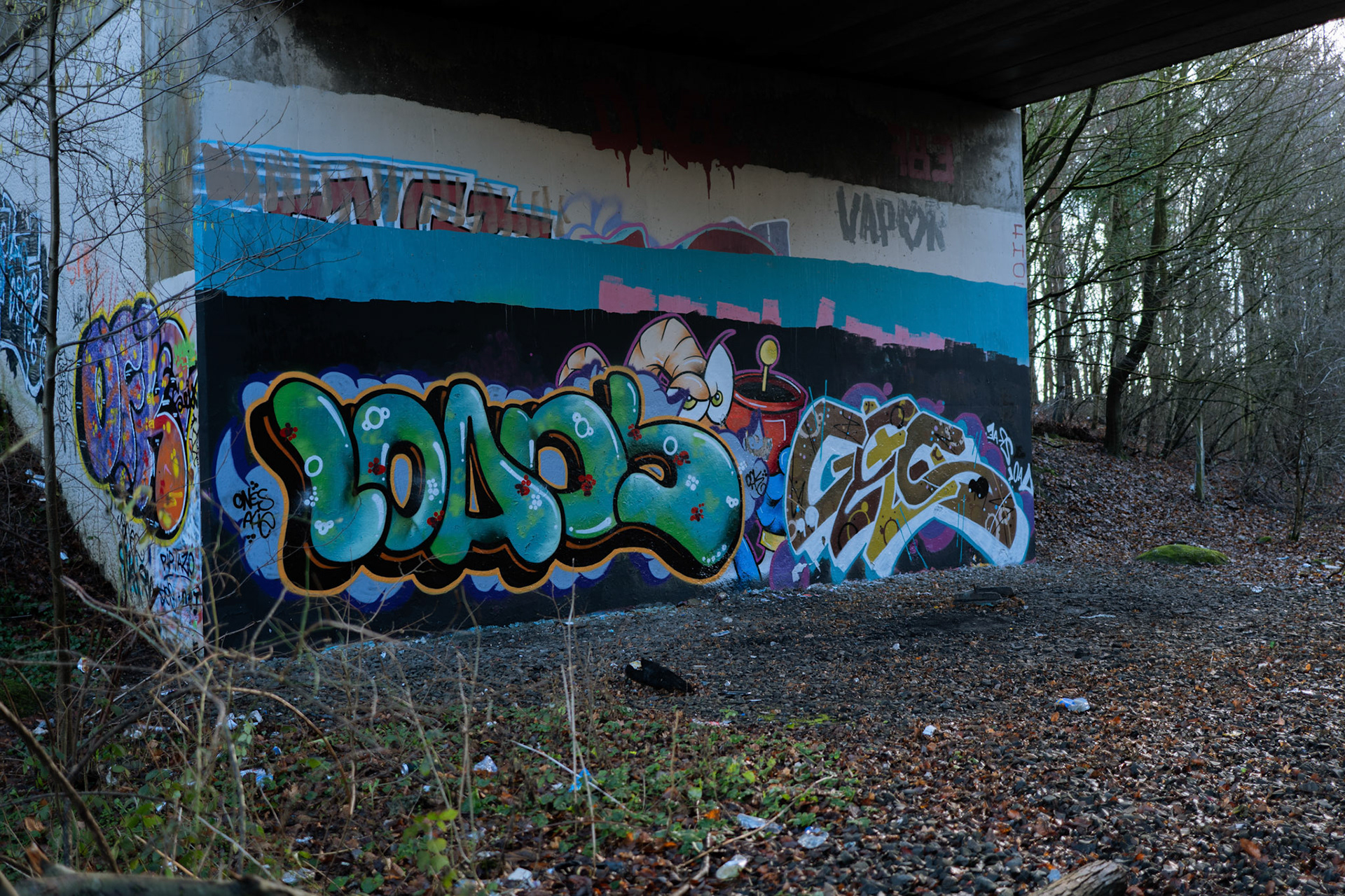a bridge under a part of the old Washington train line
