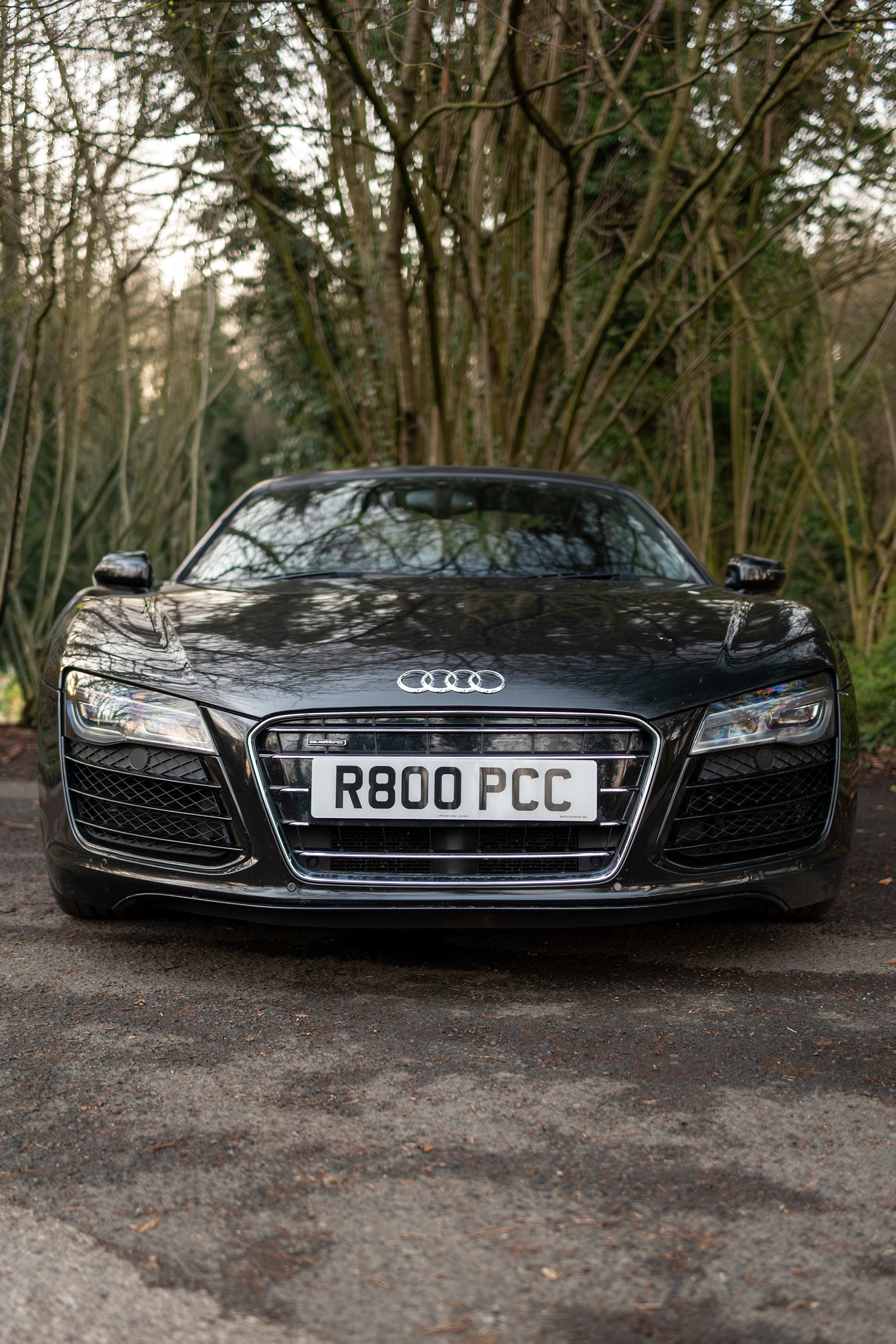 a Audi r8